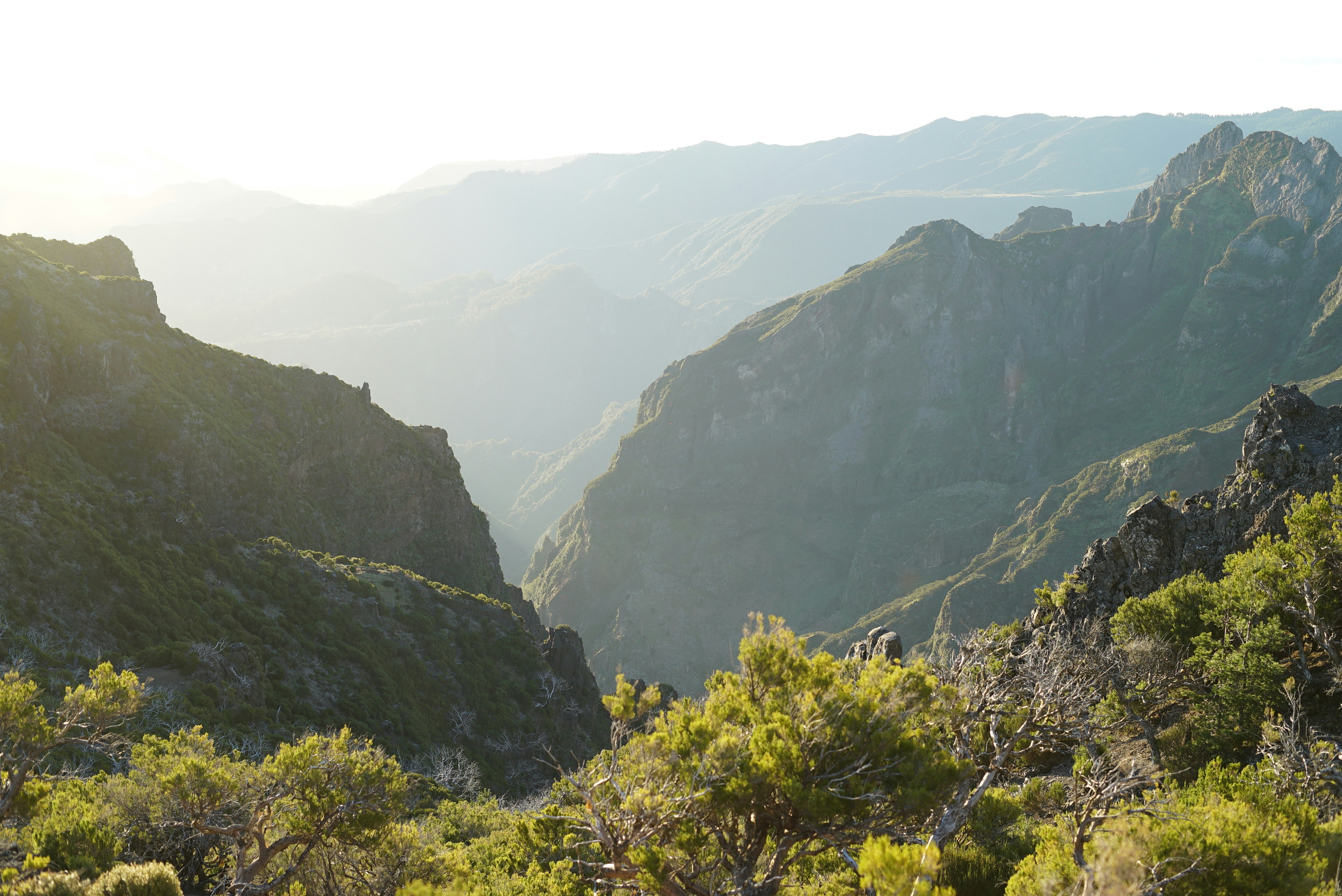 Photo by mariemichelecoene