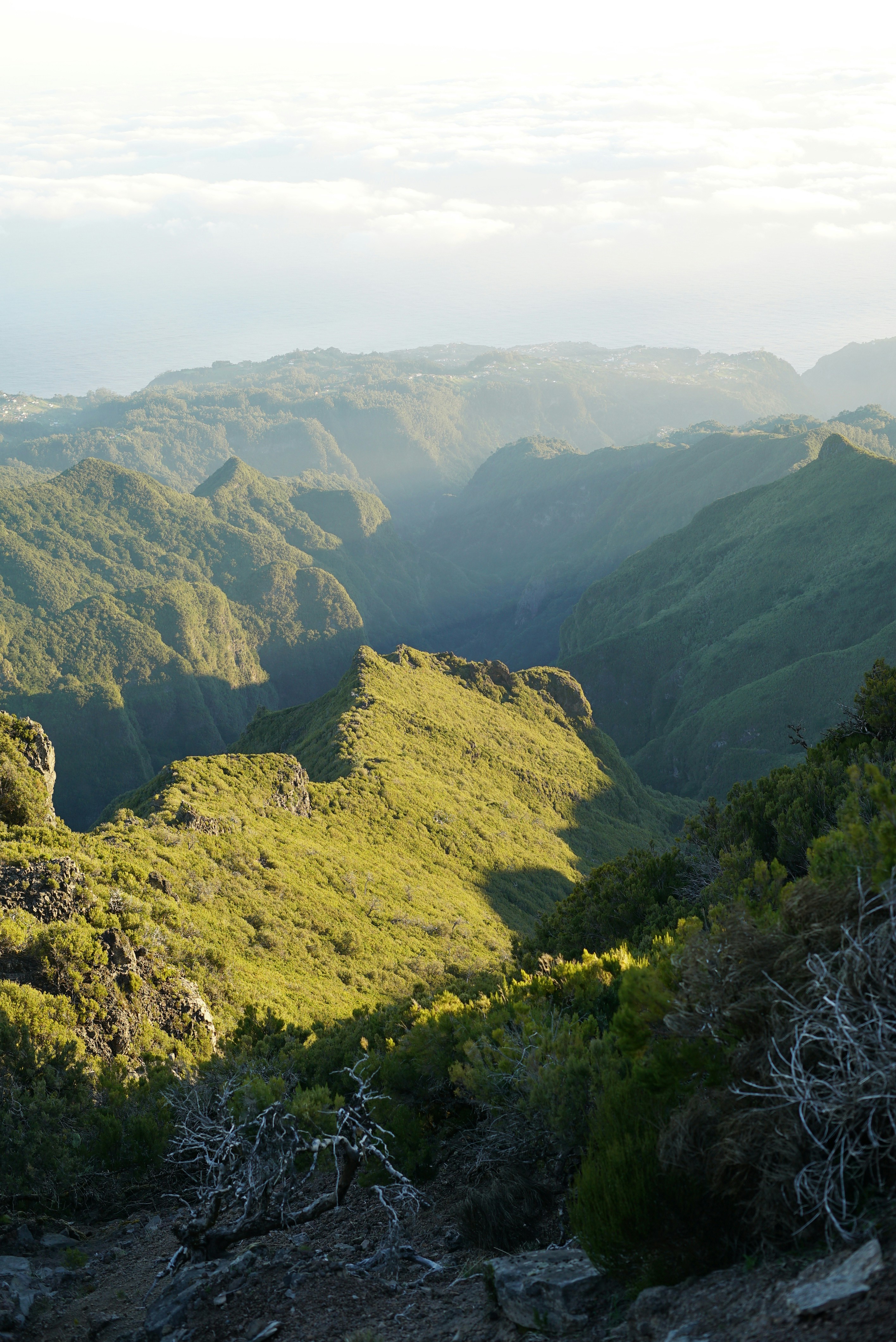 Photo by mariemichelecoene