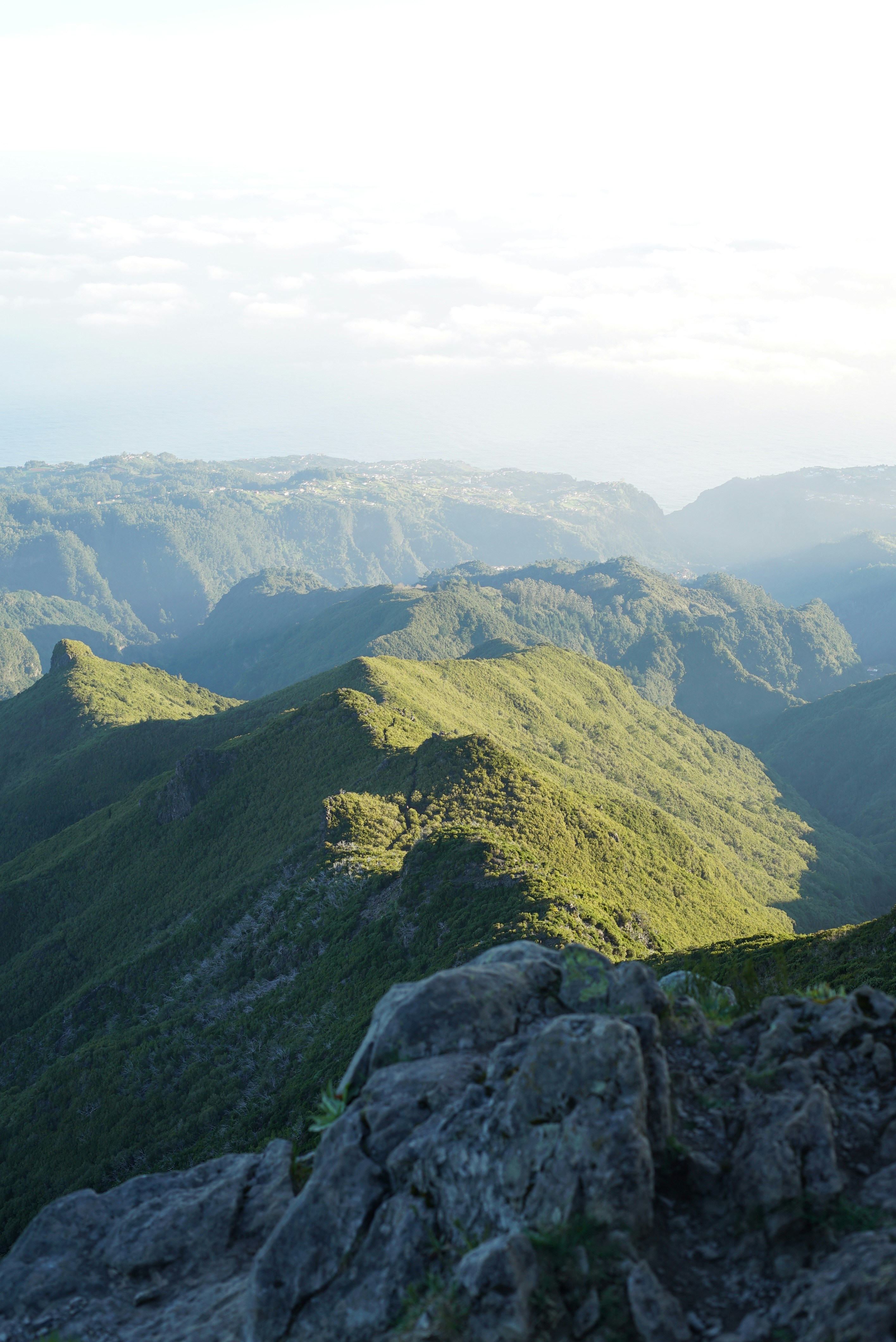 Photo by mariemichelecoene