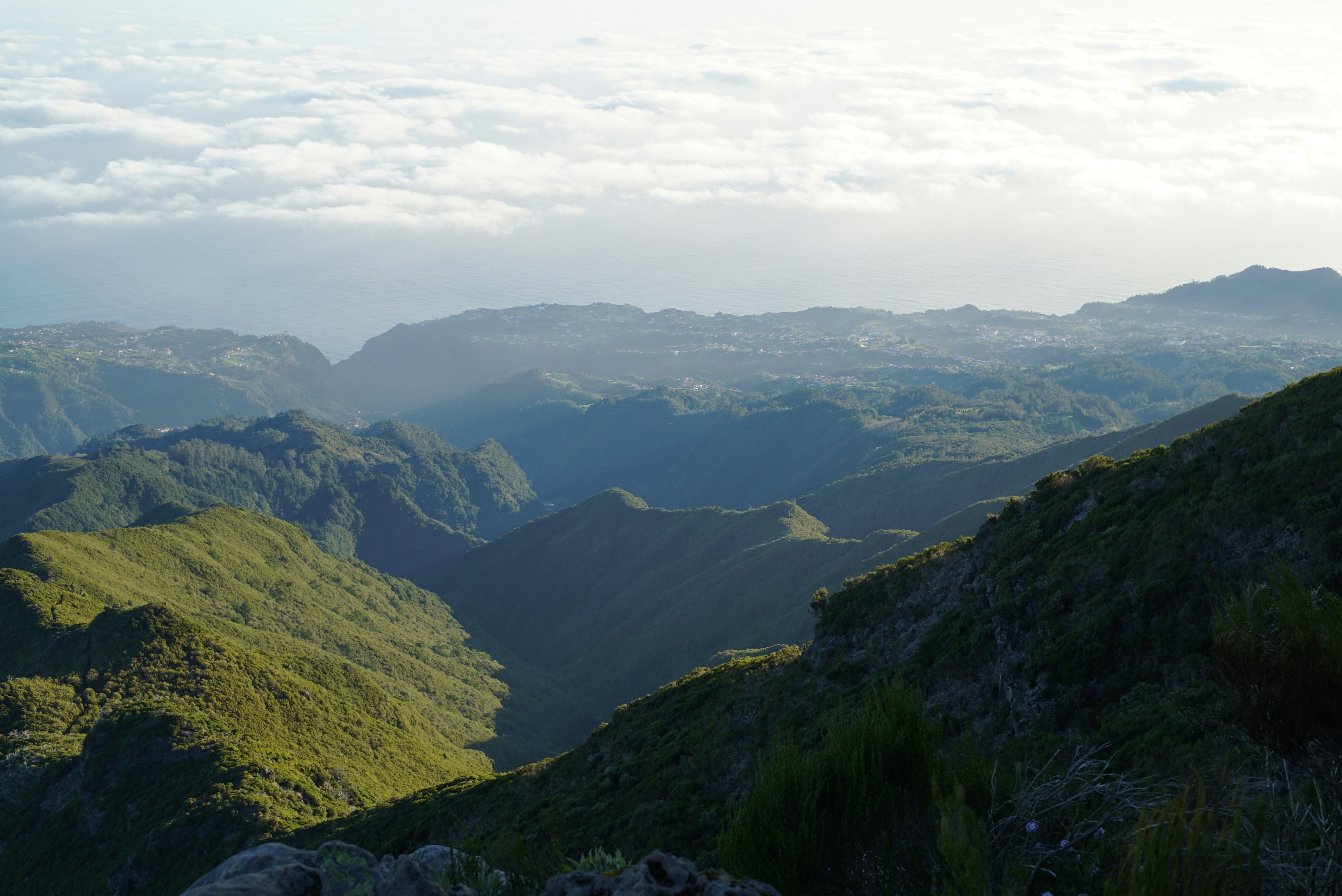 Photo by mariemichelecoene