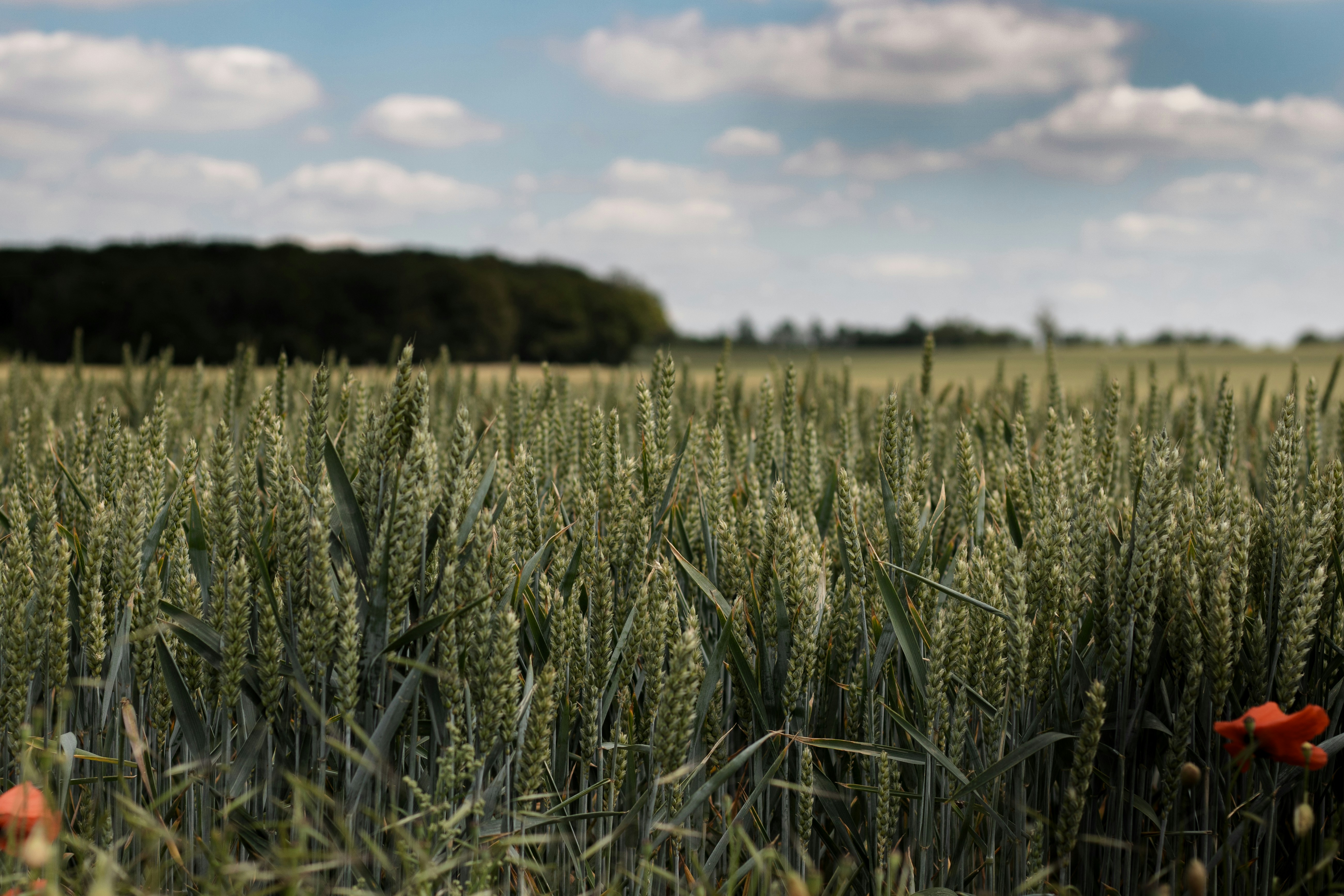 Photo by thee_photography_