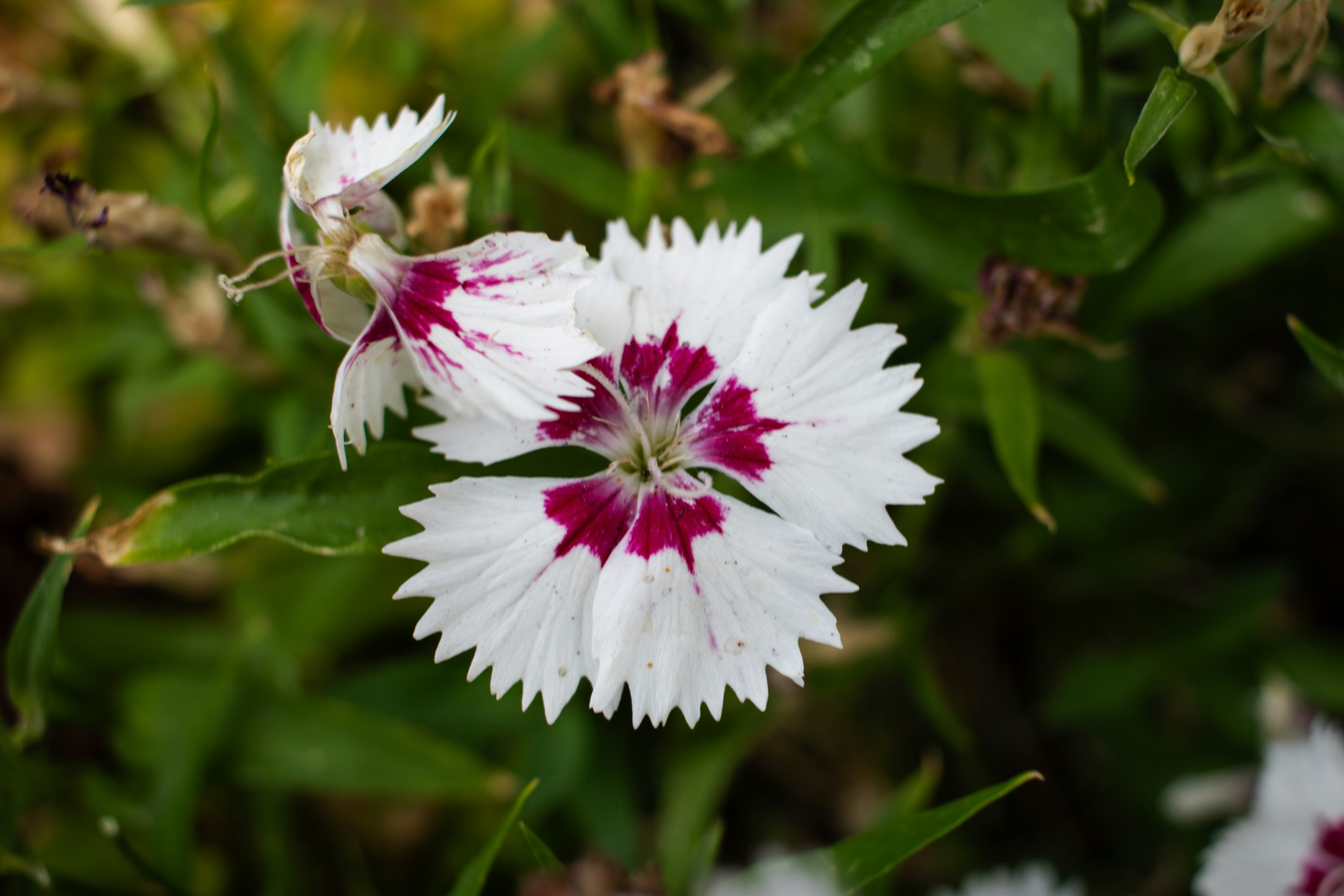 Photo by zoshuacolah