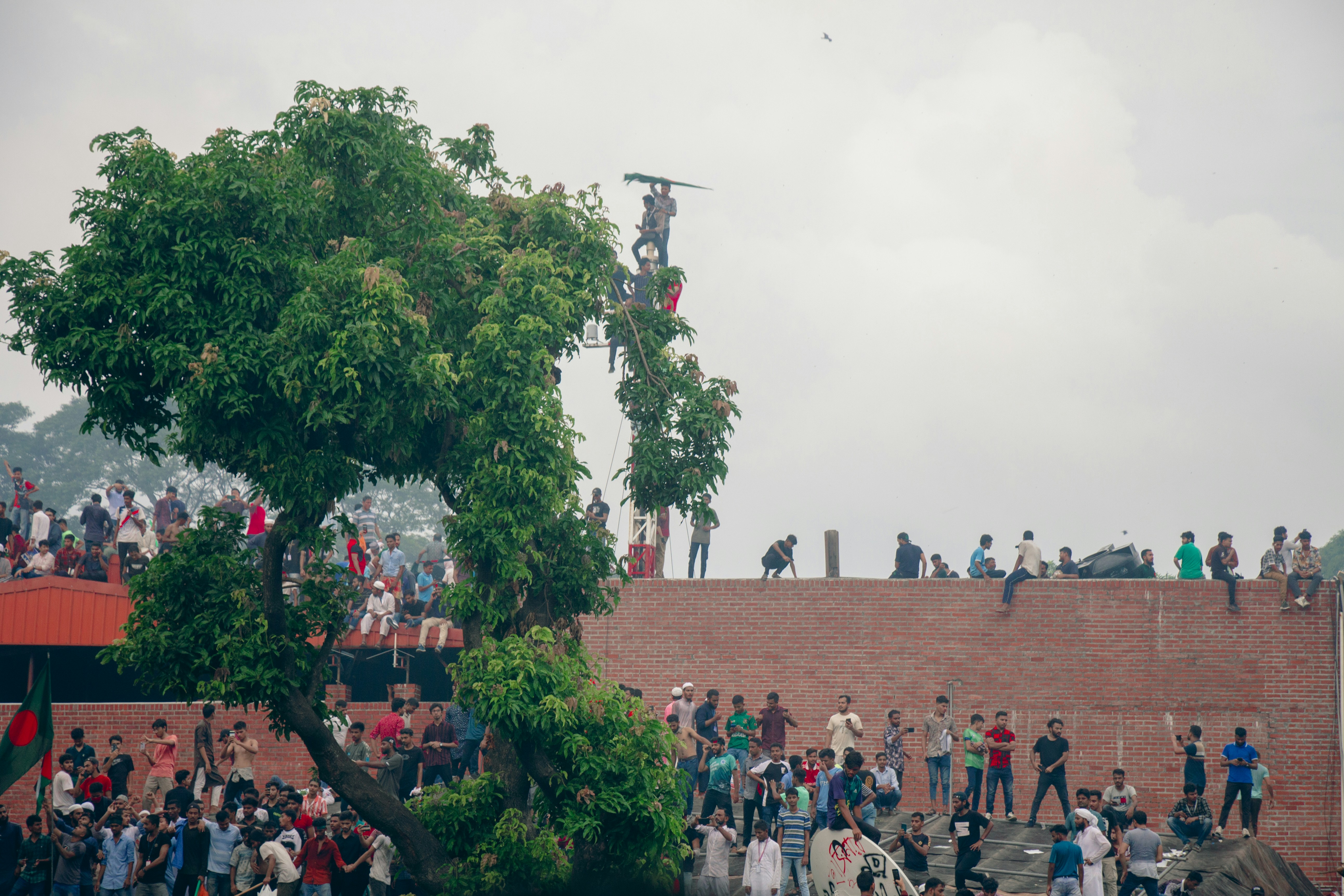 A crowd of people standing on top of a brick wall