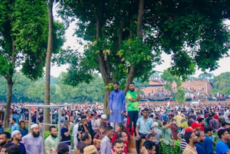 A large group of people standing around a park