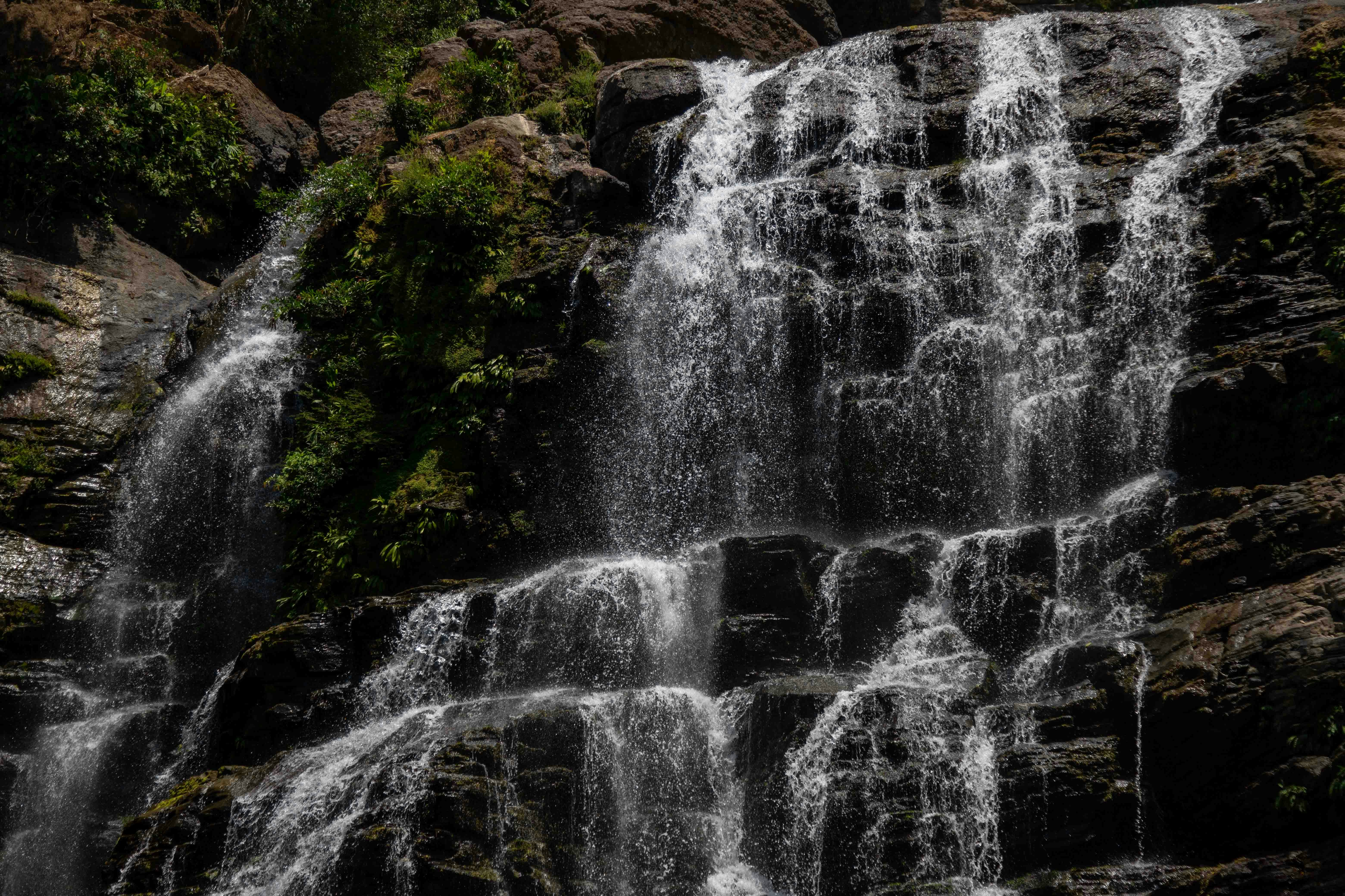 A man standing in front of a waterfall