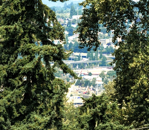 Newcastle — furnished monthly rentals