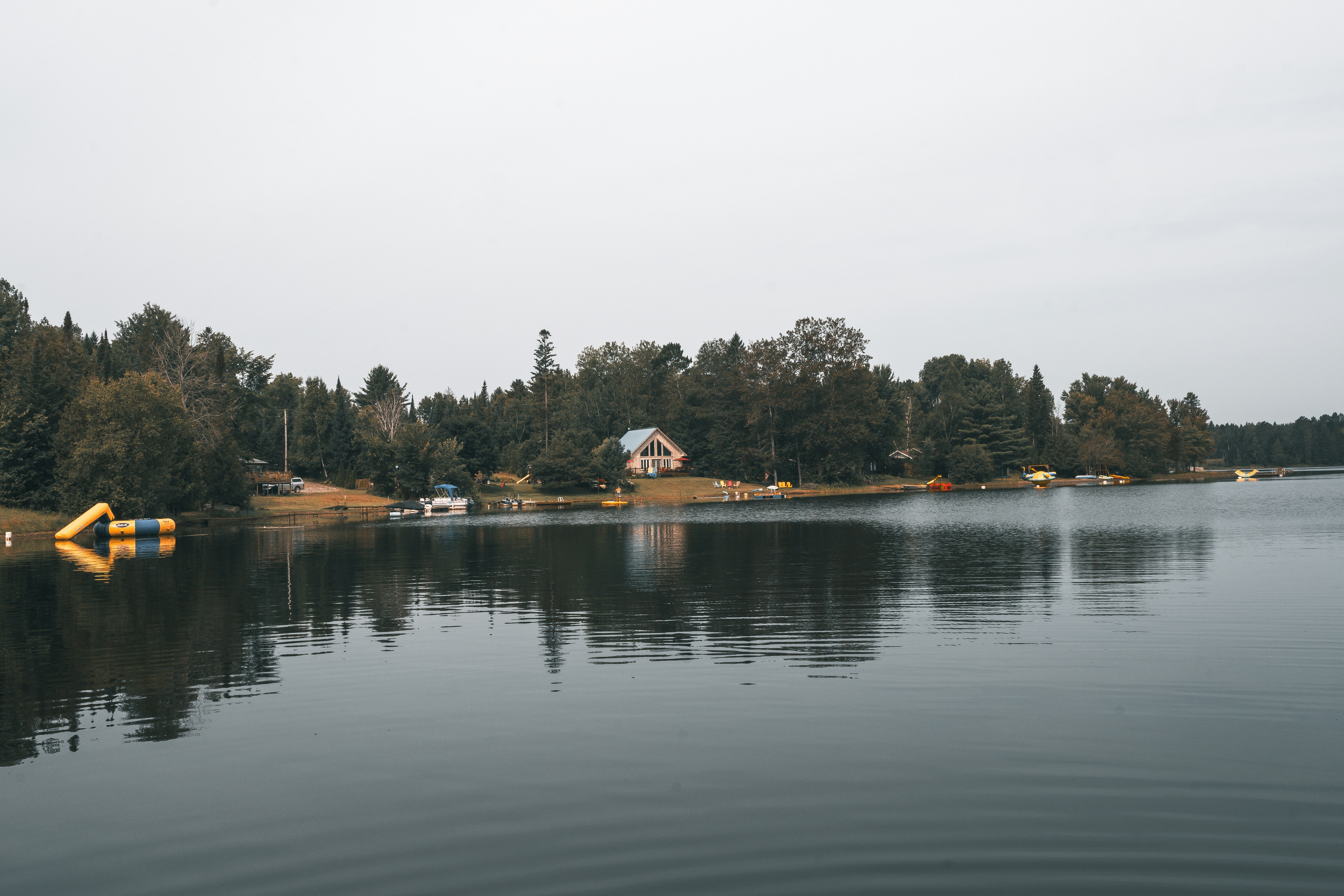 A body of water with trees in the background