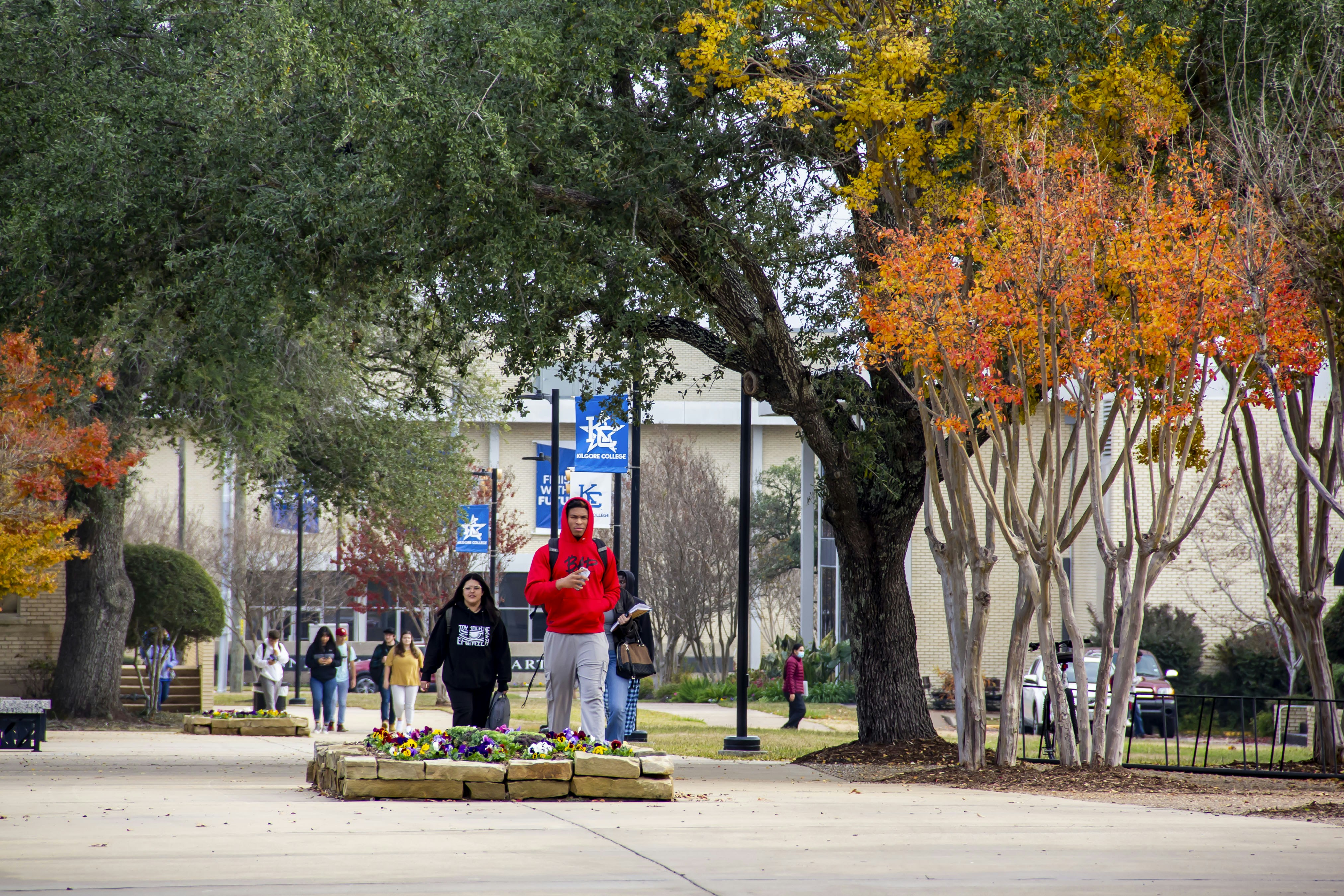 A group of people walking down a sidewalk next to trees