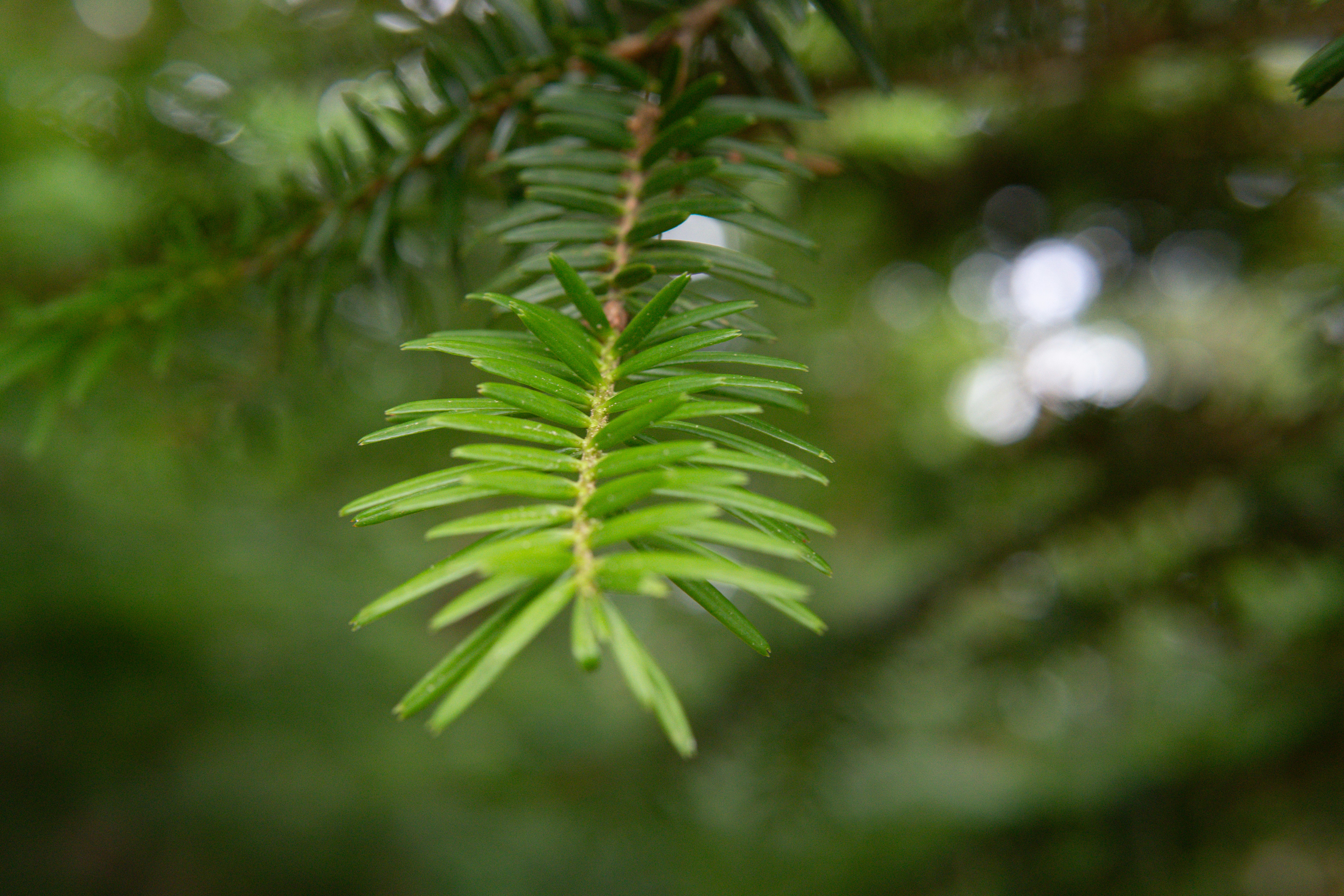 Photo by suyashmahar