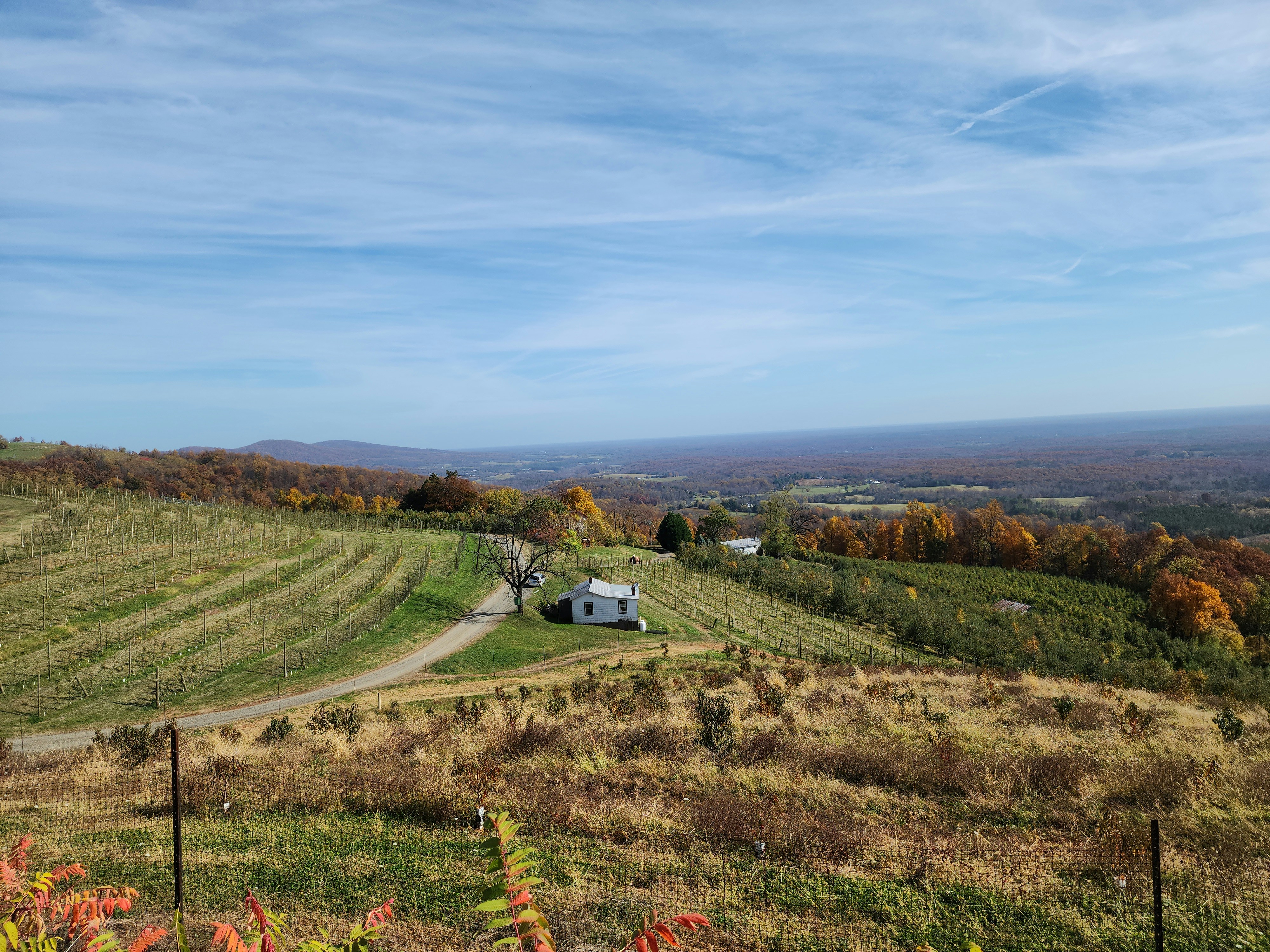 CHO destination photo