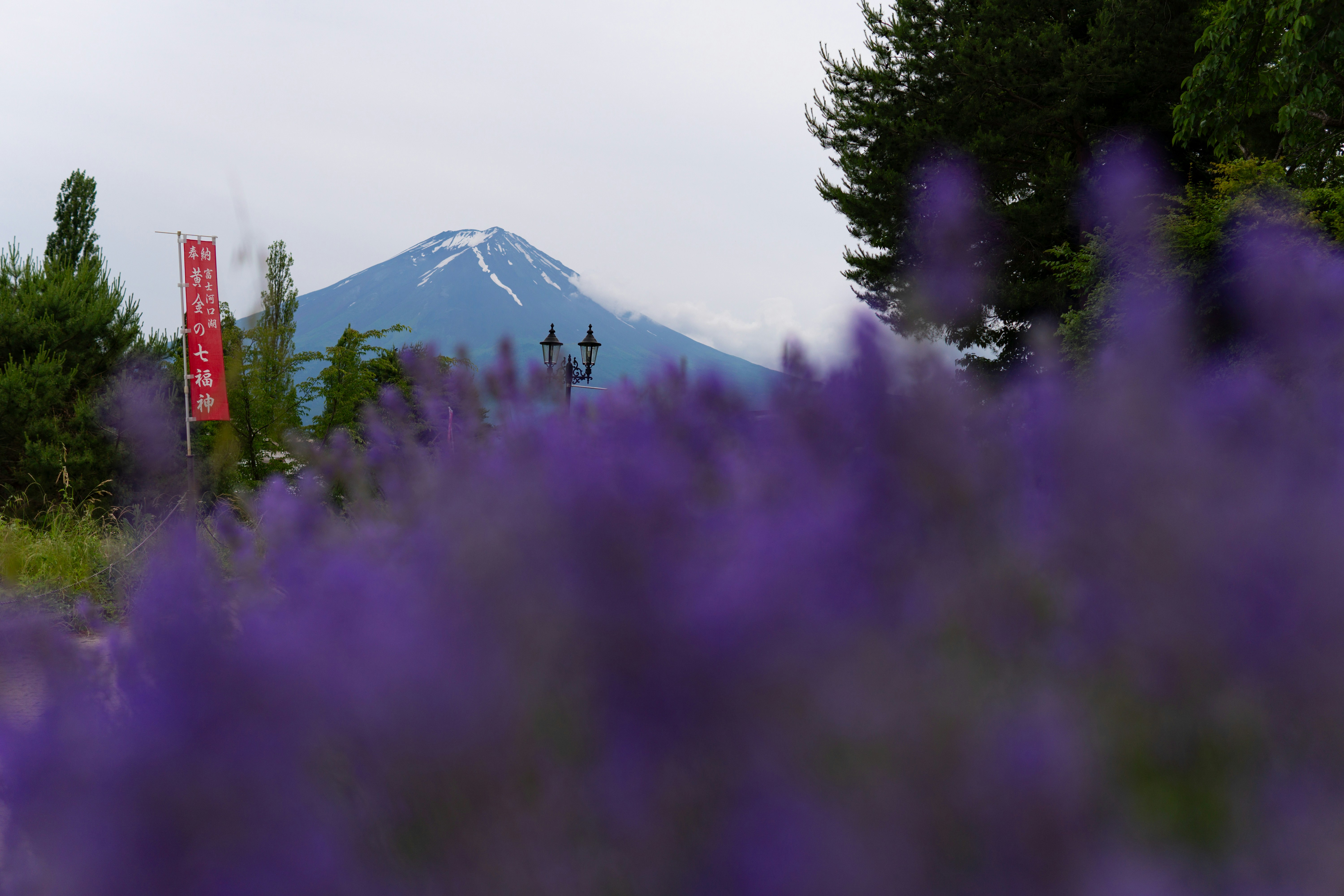 打電話沒煩惱：面試式逐句解析，從朋友一句鼓勵到勇敢報考 N3