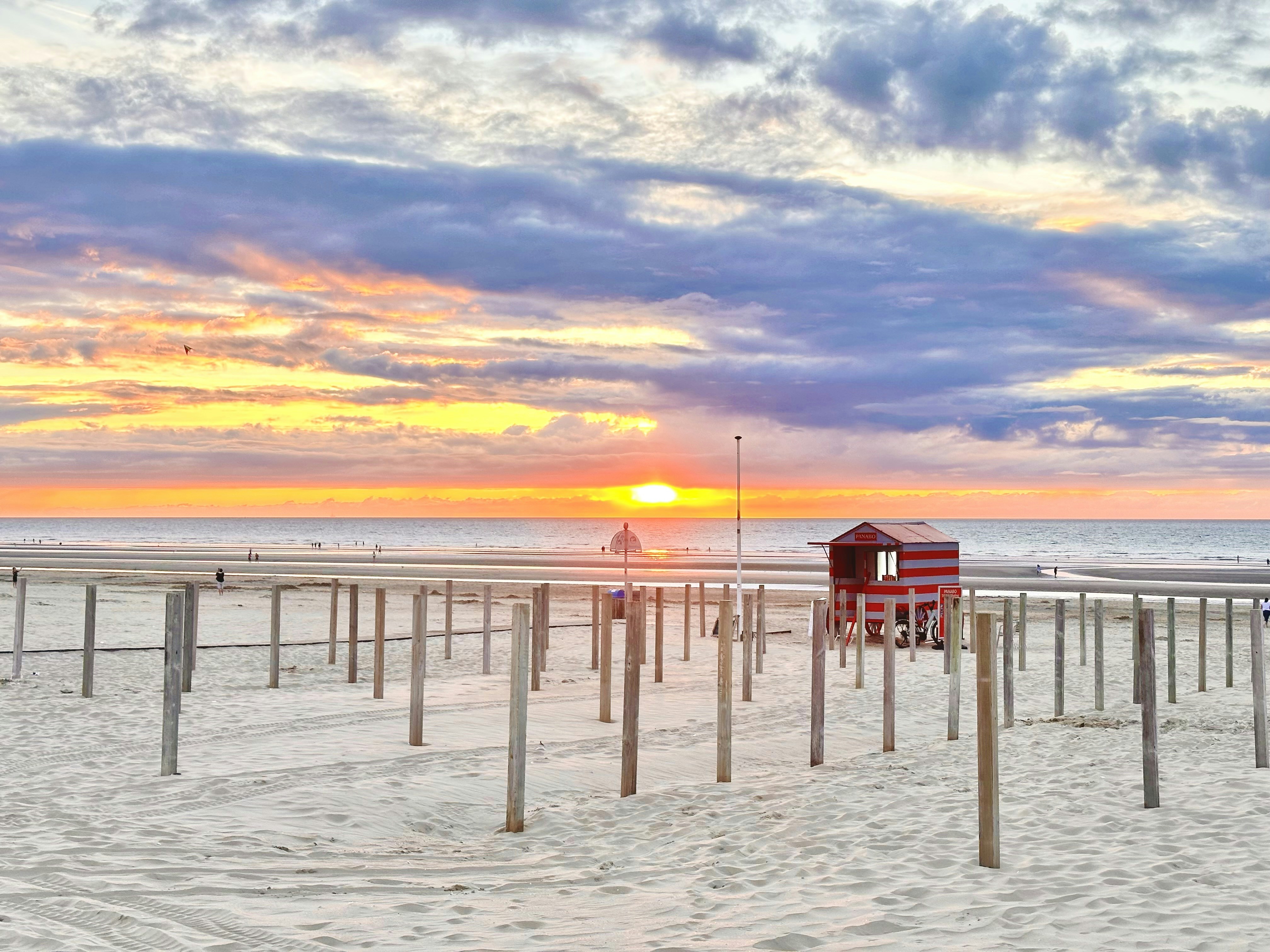 Del Sol Hamptons Menu