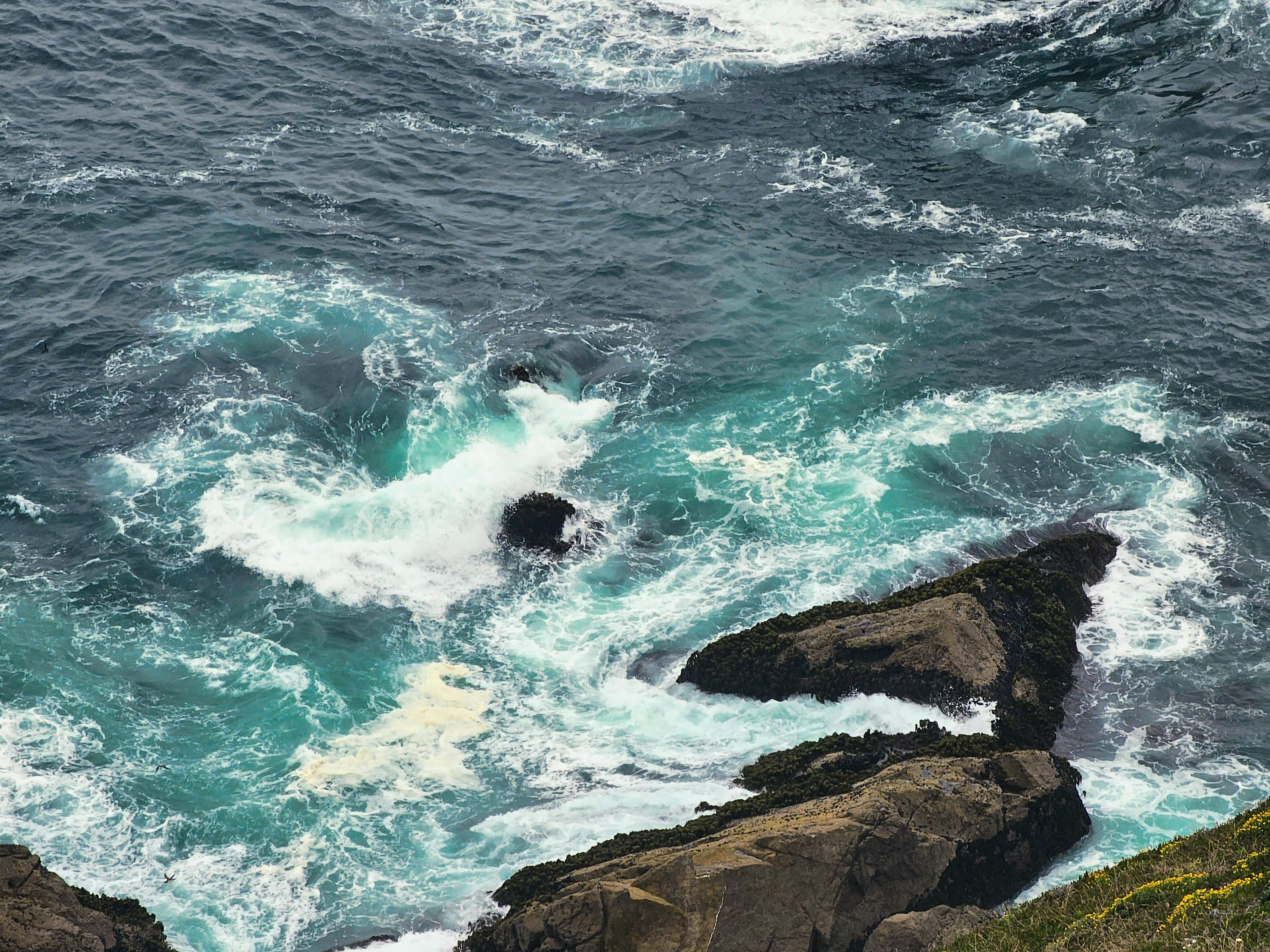 Photo by suyashmahar