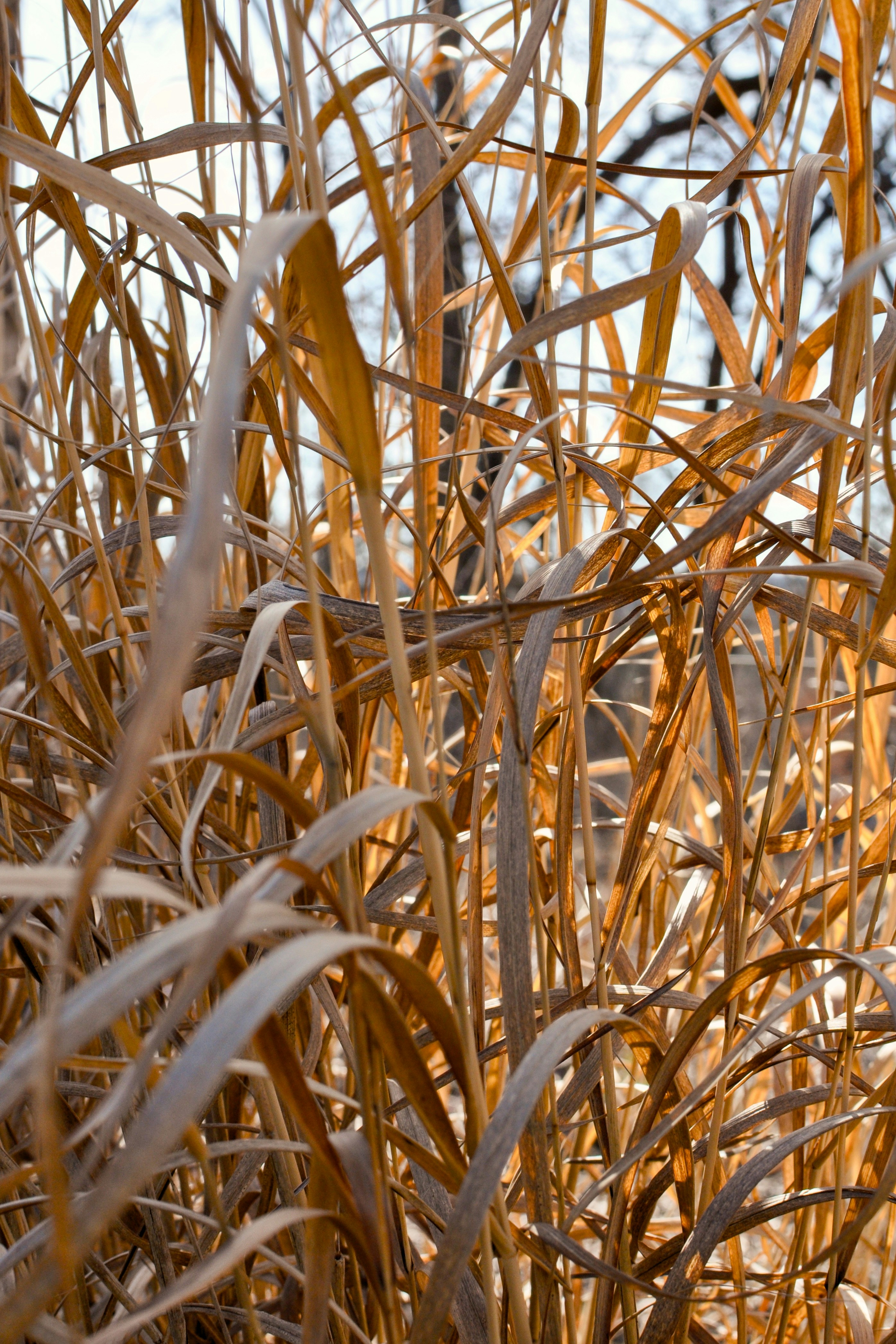 Photo by rainporches