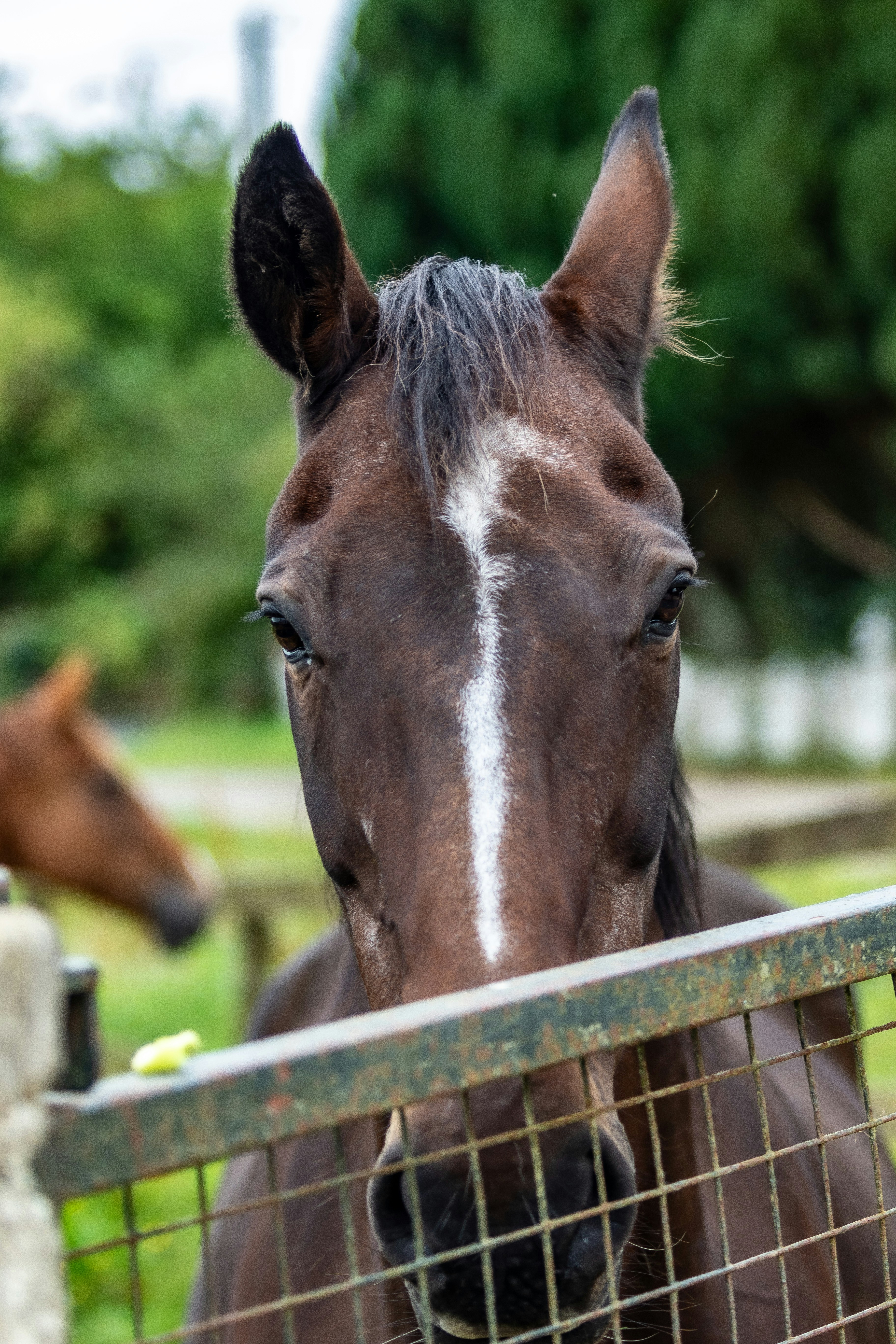 Photo by starkie_pics