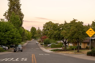 A street that has a yellow street sign on it