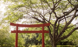 A red tori tori tori tori tori tori tori tori tori tori tori tori tori tori