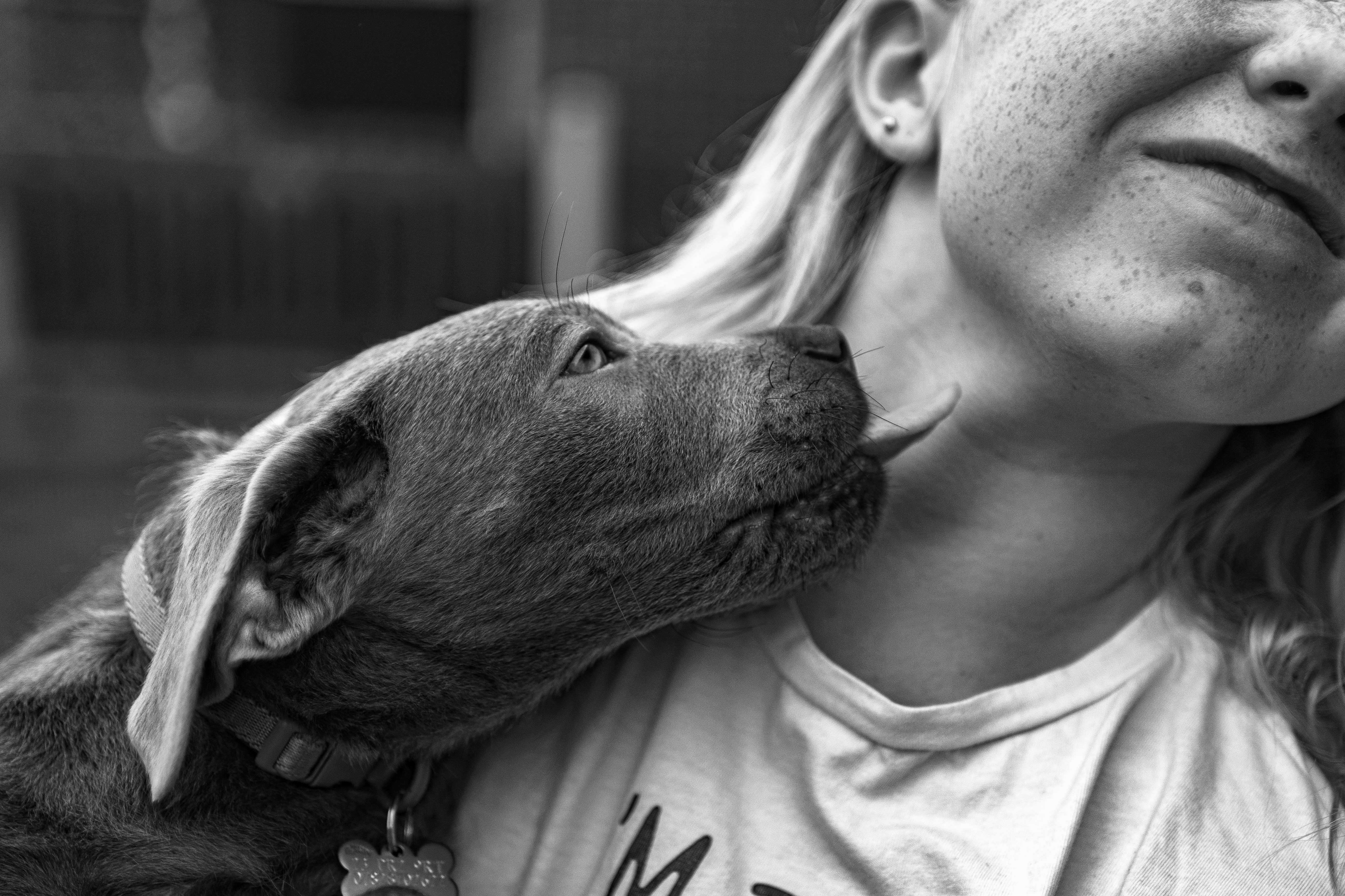 Trivia nights in Preston, United Kingdom