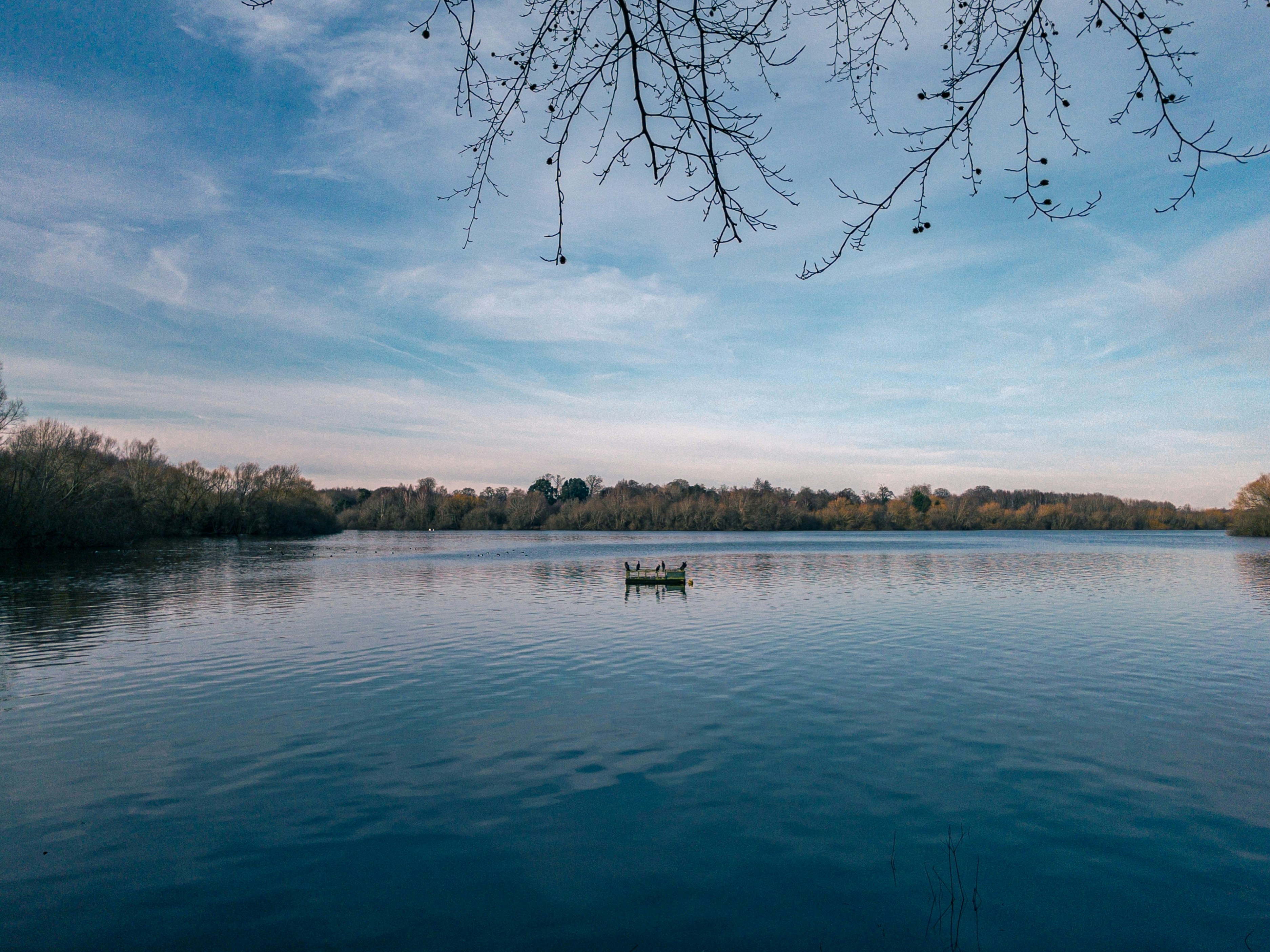 Photo by embosity1998