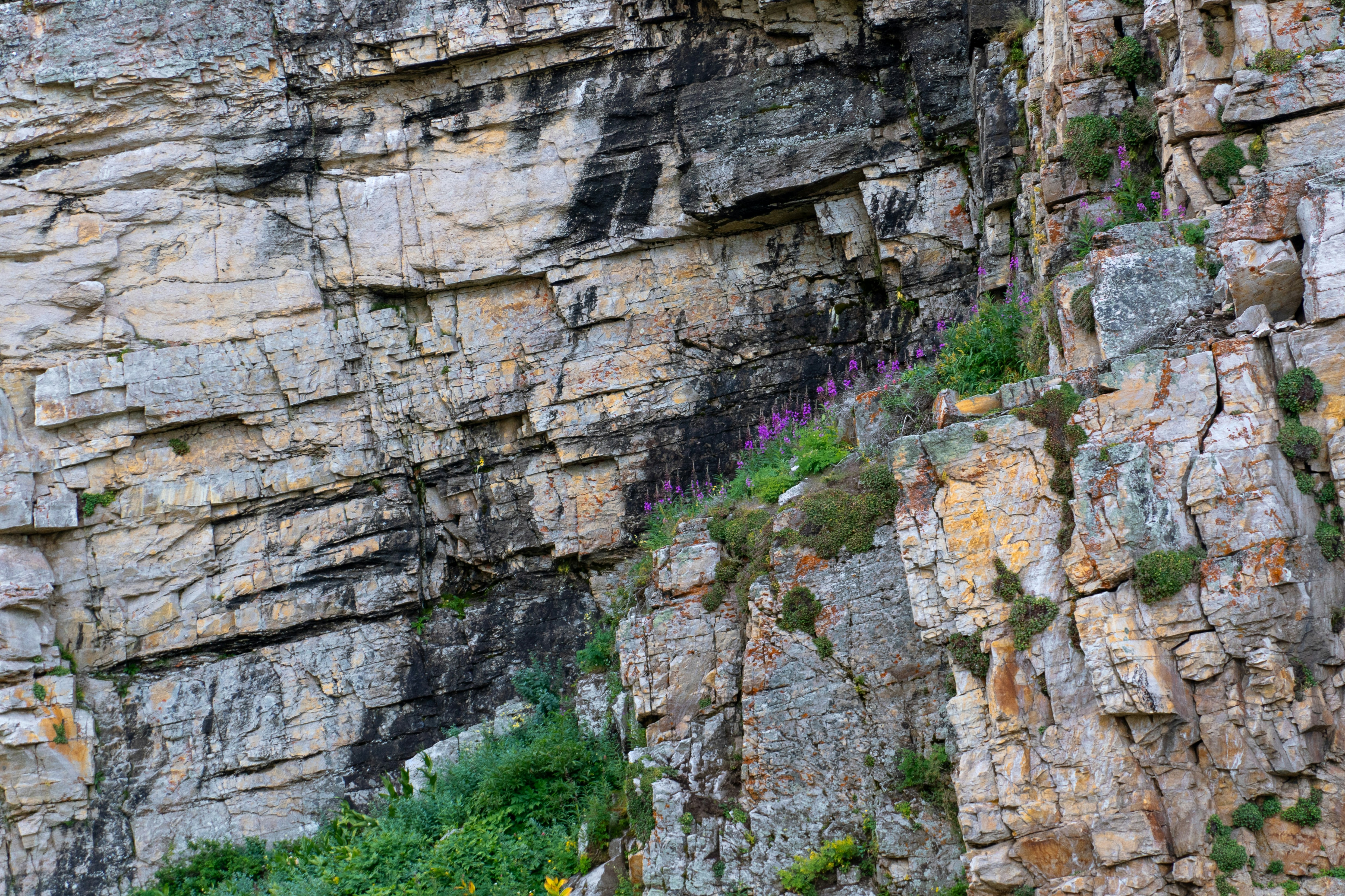 A large rock cliff with a green patch of grass growing on it