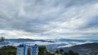 Best Pet-Friendly Hotels and Stays in Almora for Travelers With Furry Companions