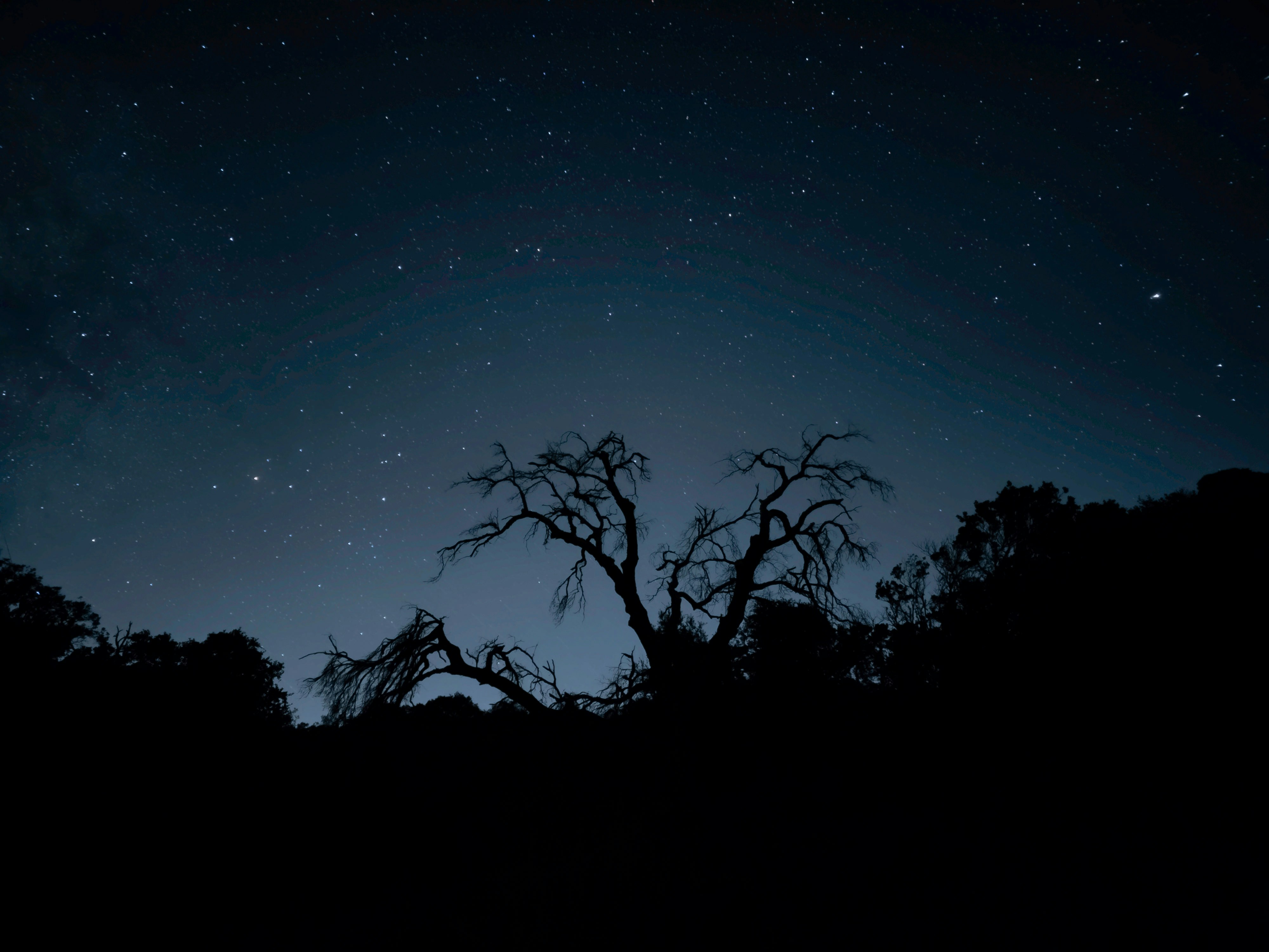 Photo by suyashmahar