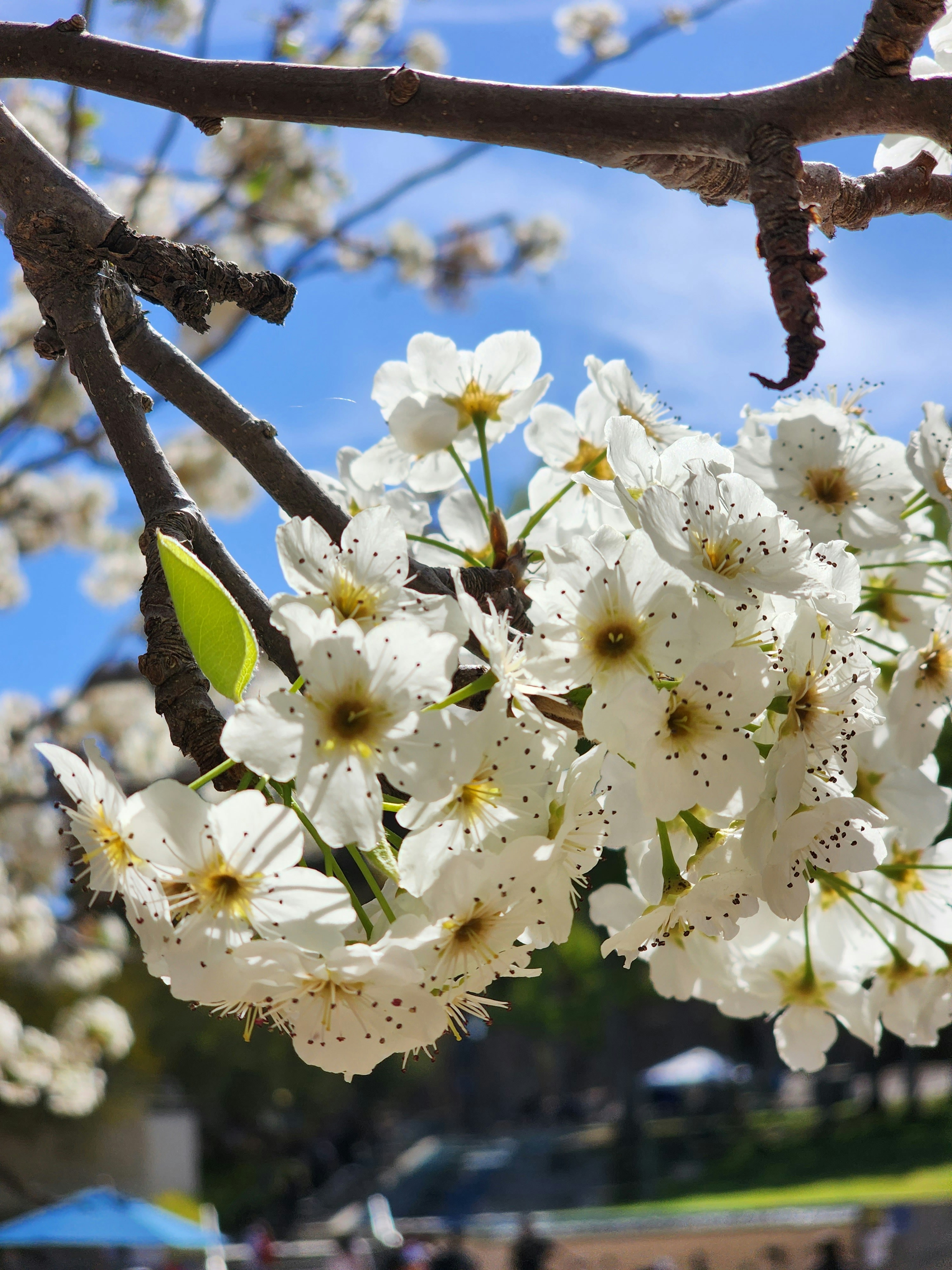 Photo by suyashmahar