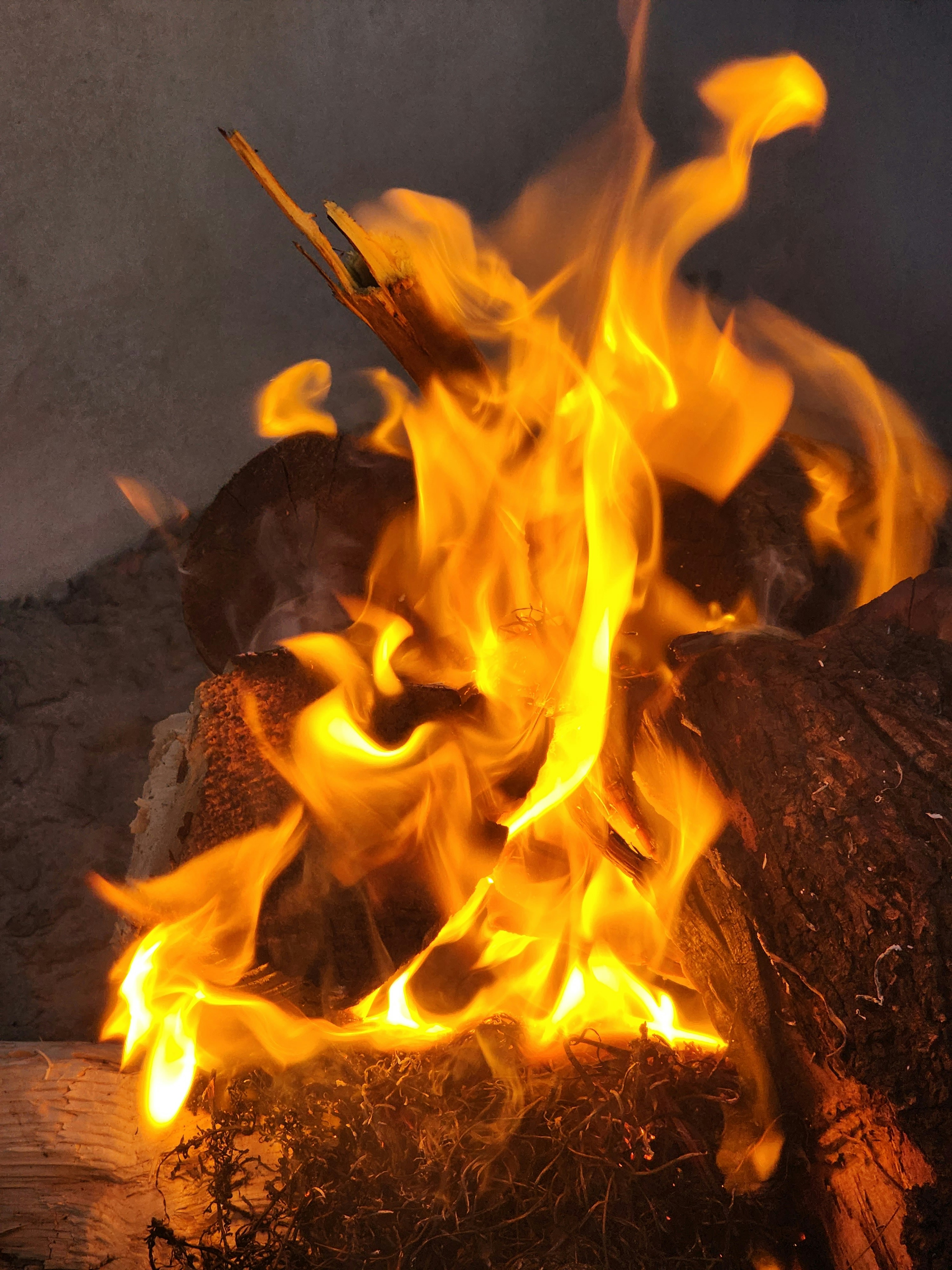 Photo by suyashmahar