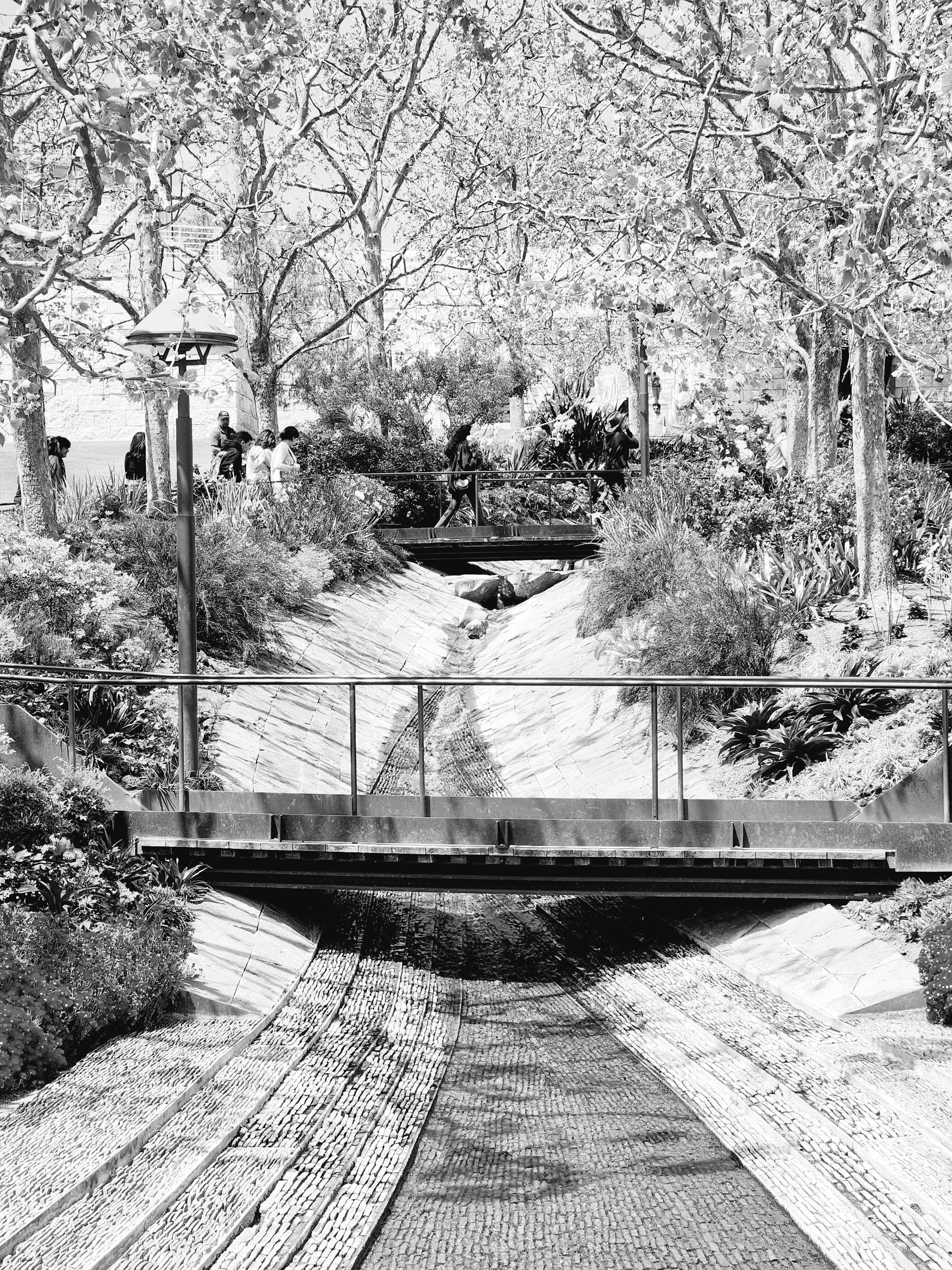 Photo by suyashmahar