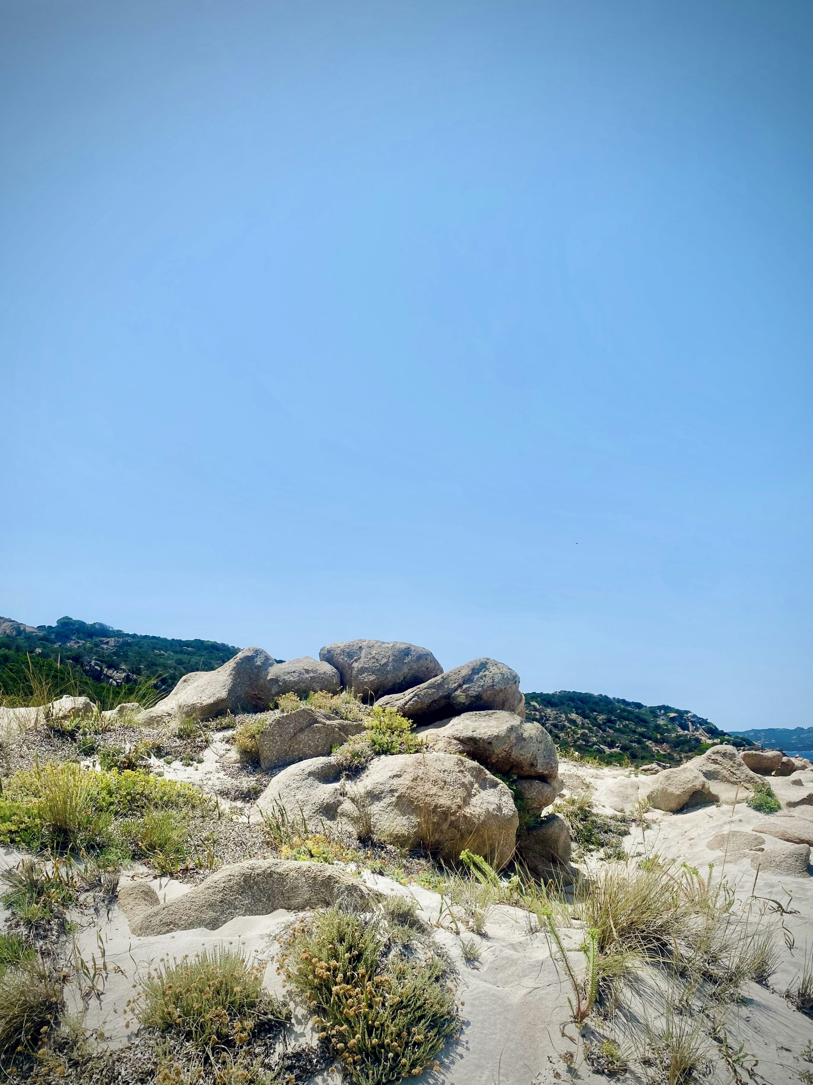 Photo by arnosenoner