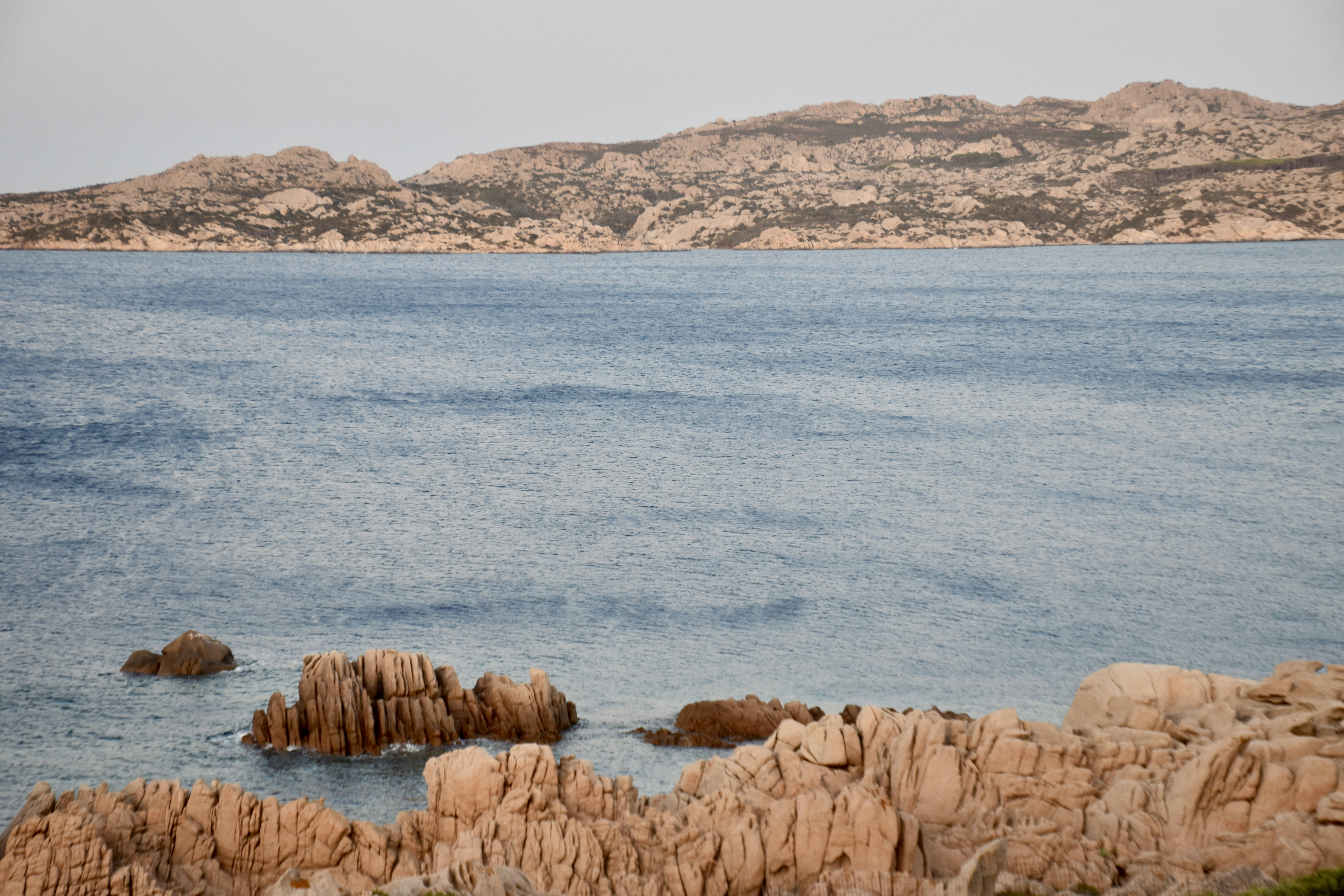 Photo by arnosenoner