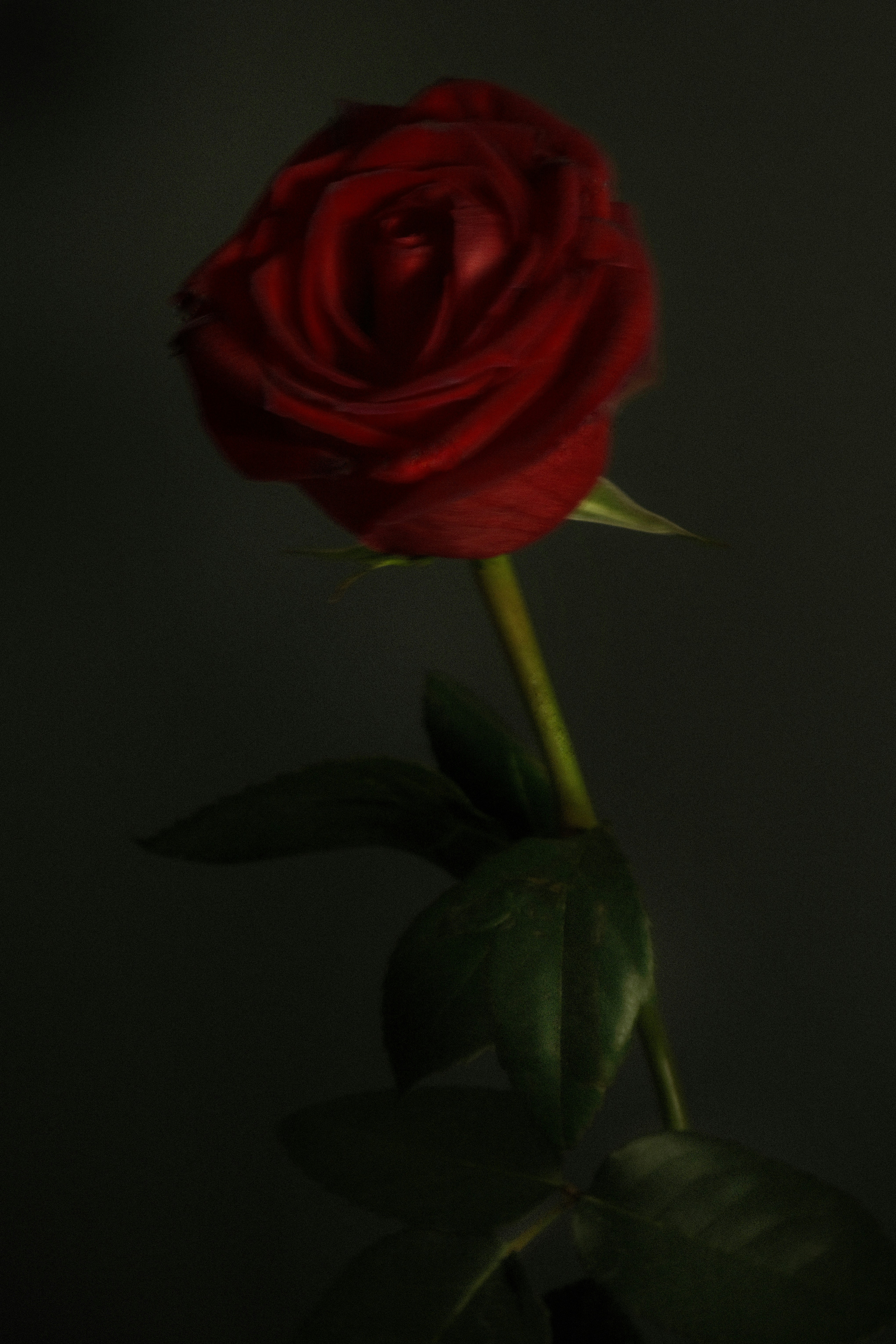Photo by irynaburtna