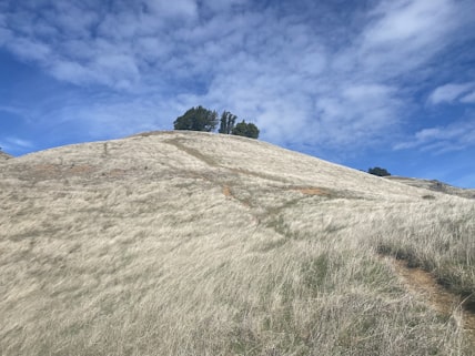 Dragon Hill (Santa Cruz) port