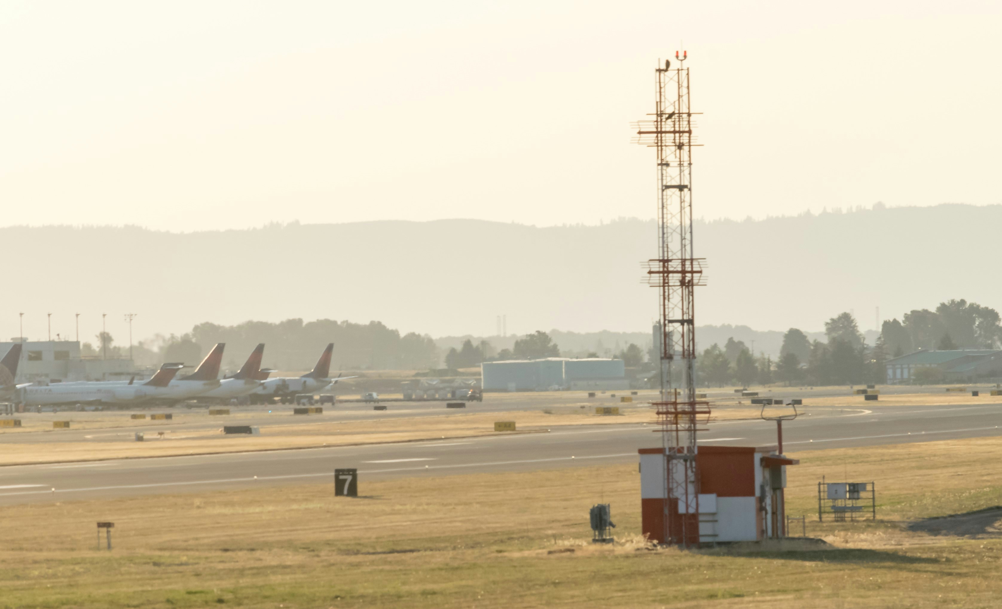 A field with a bunch of airplanes on it, 
