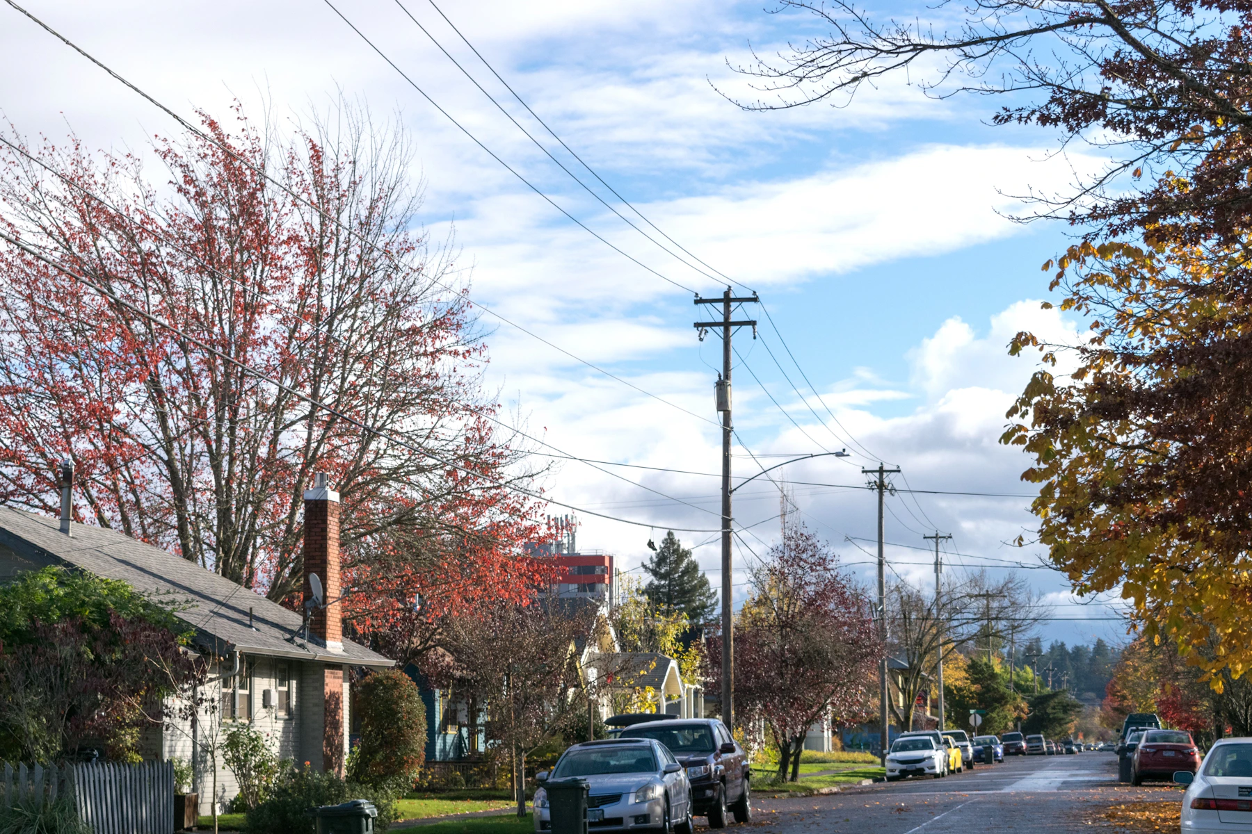 Residential street in Eugene, Oregon