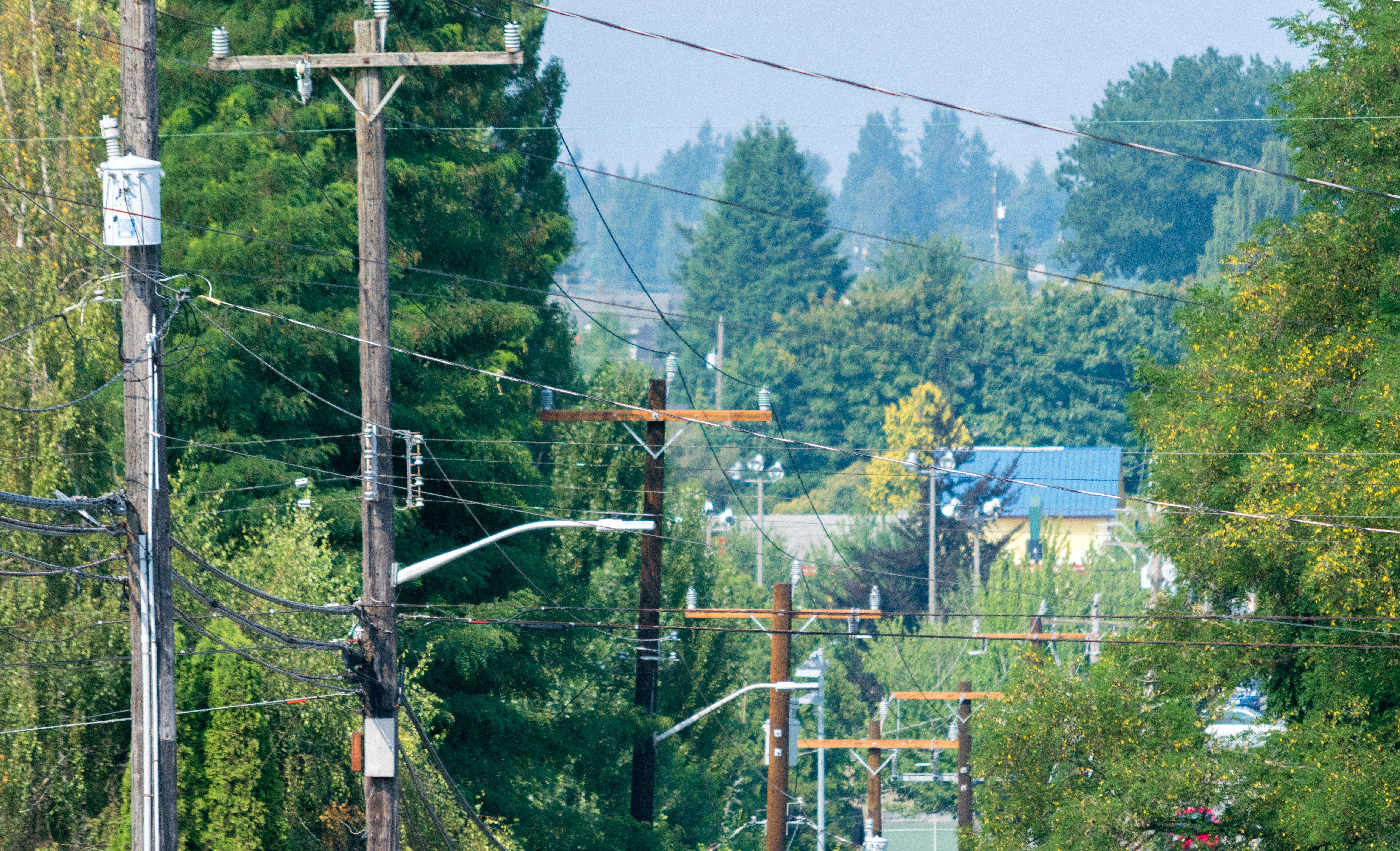 A train traveling down train tracks next to a forest
