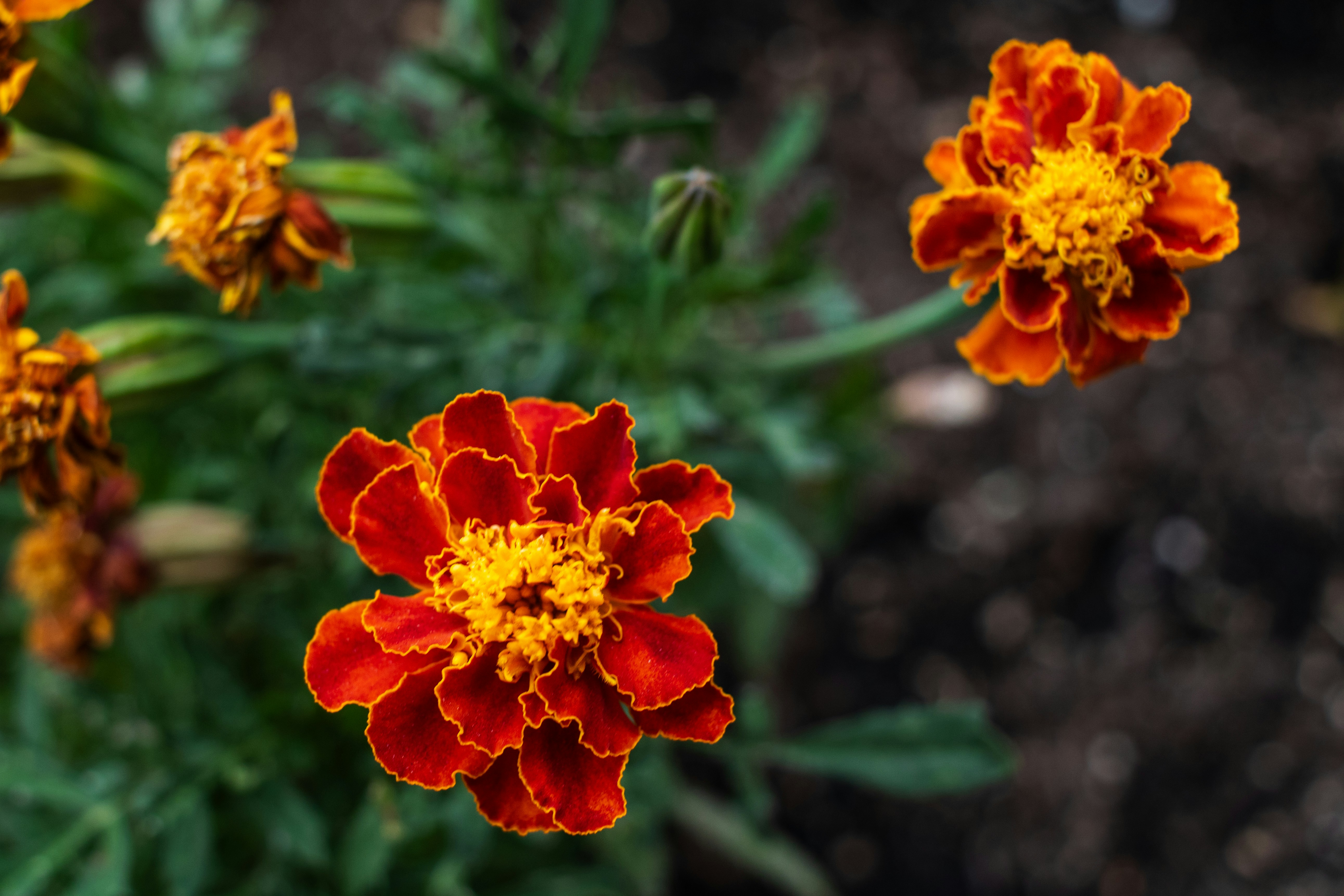 Photo by zoshuacolah