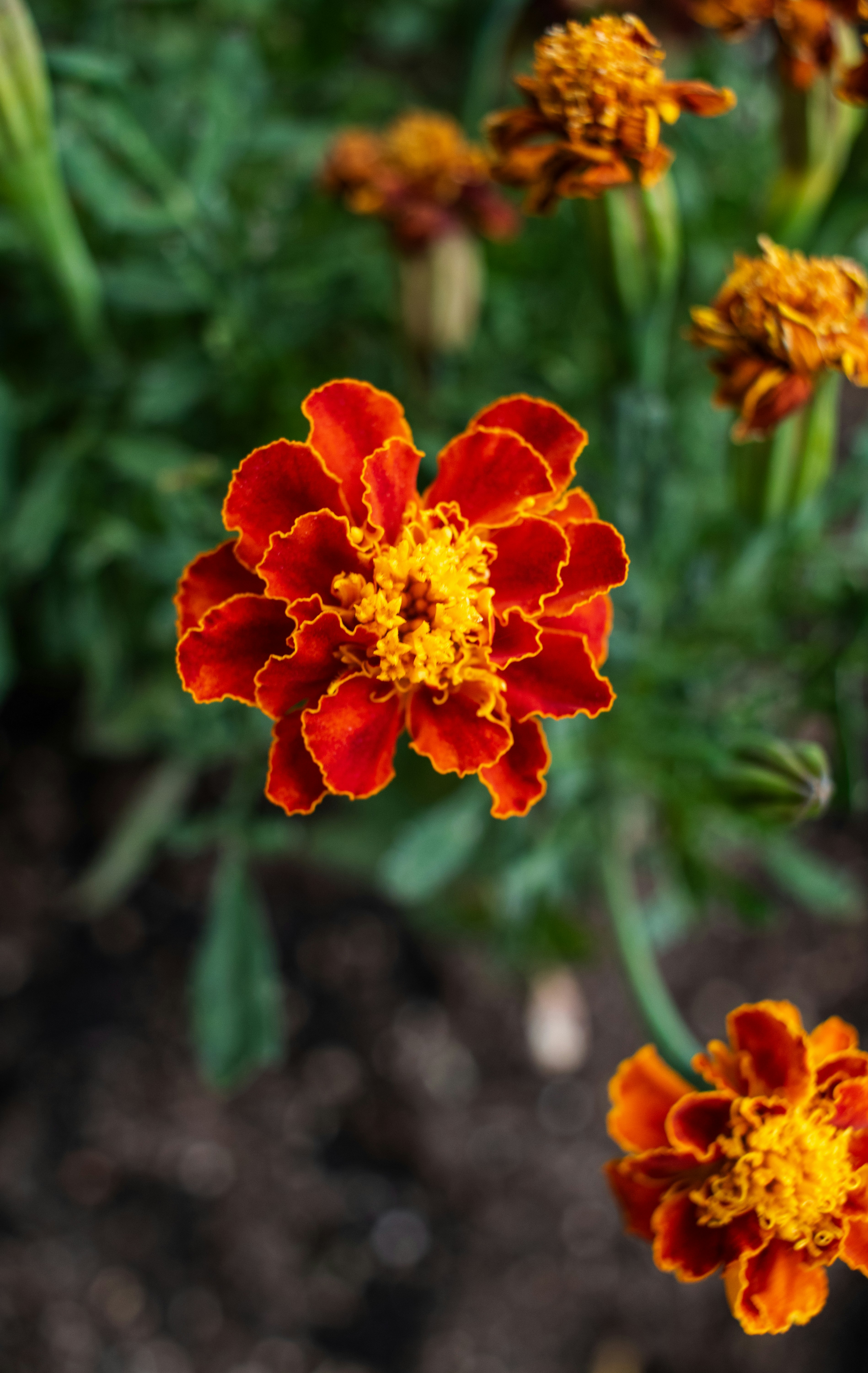 Photo by zoshuacolah