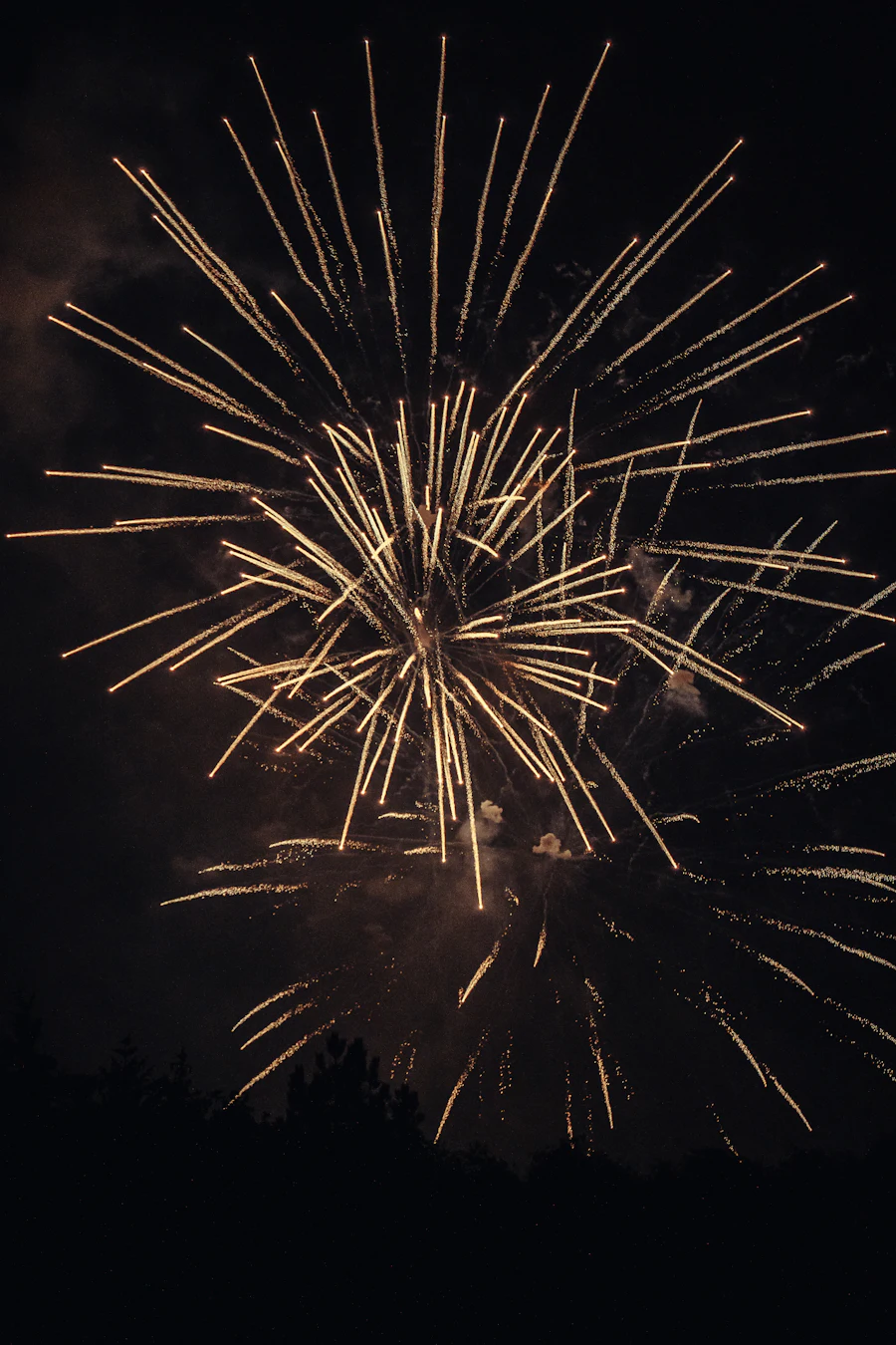 Gold fireworks burst lighting up the night sky