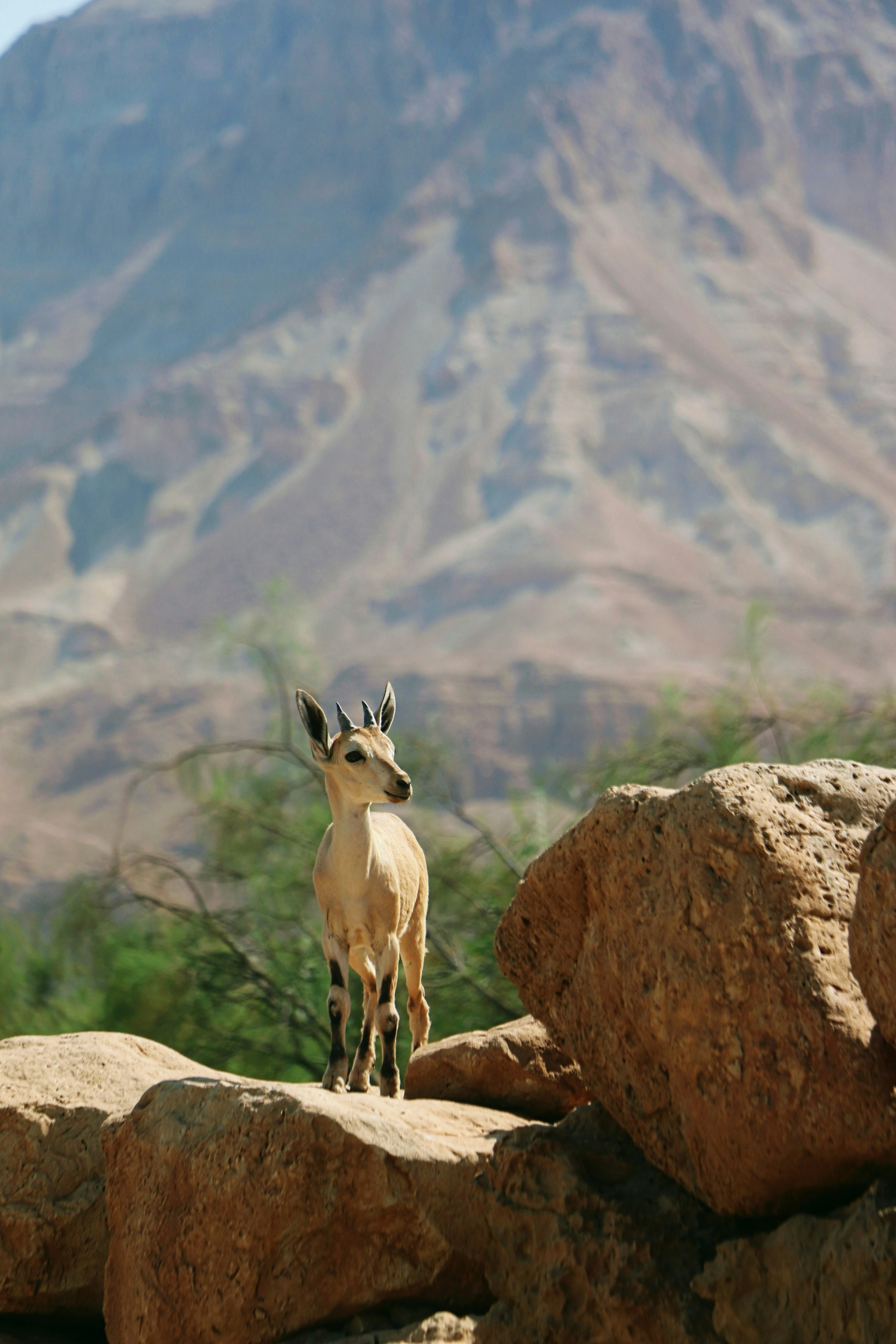 Photo by haim_charbit18