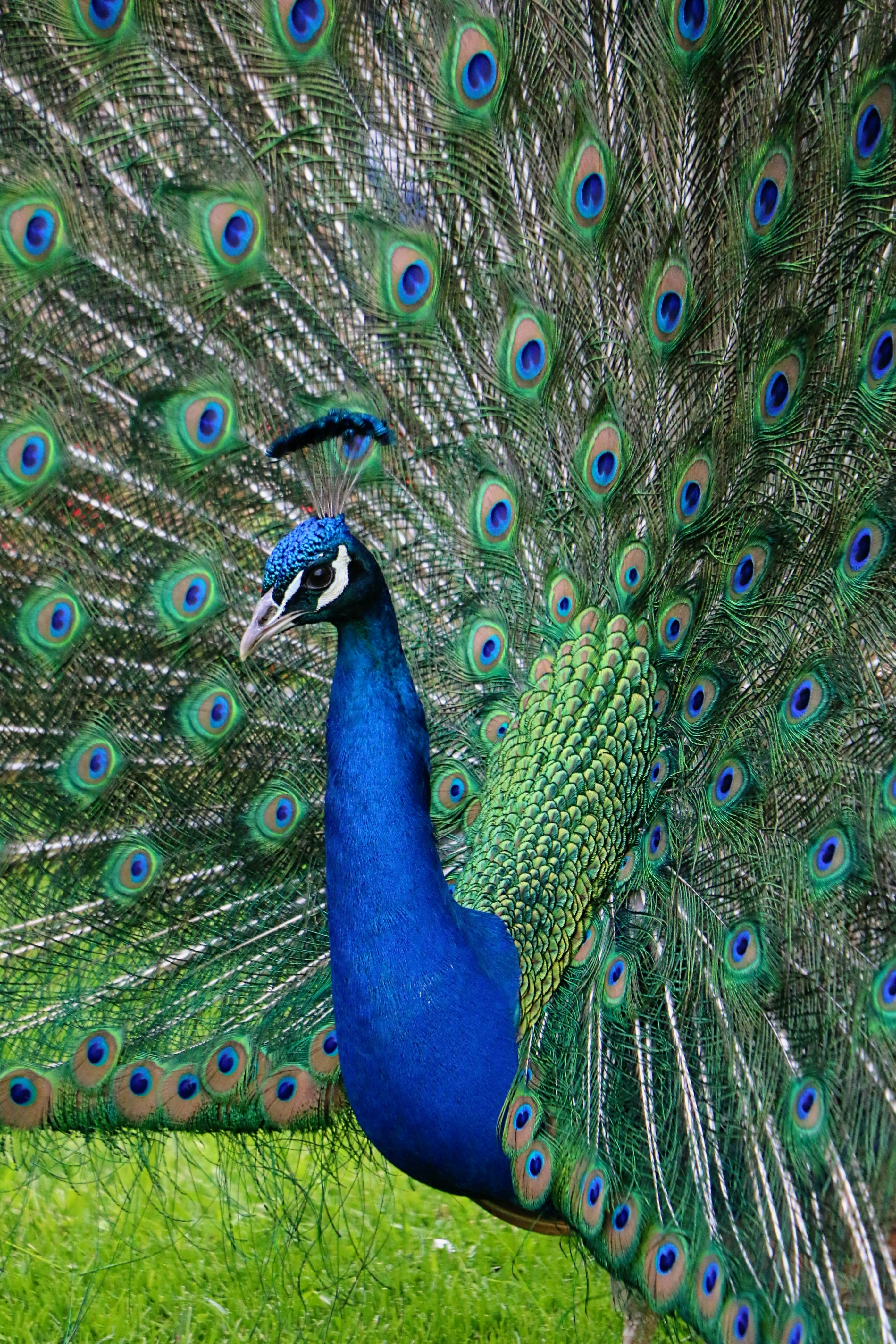 Photo by haim_charbit18