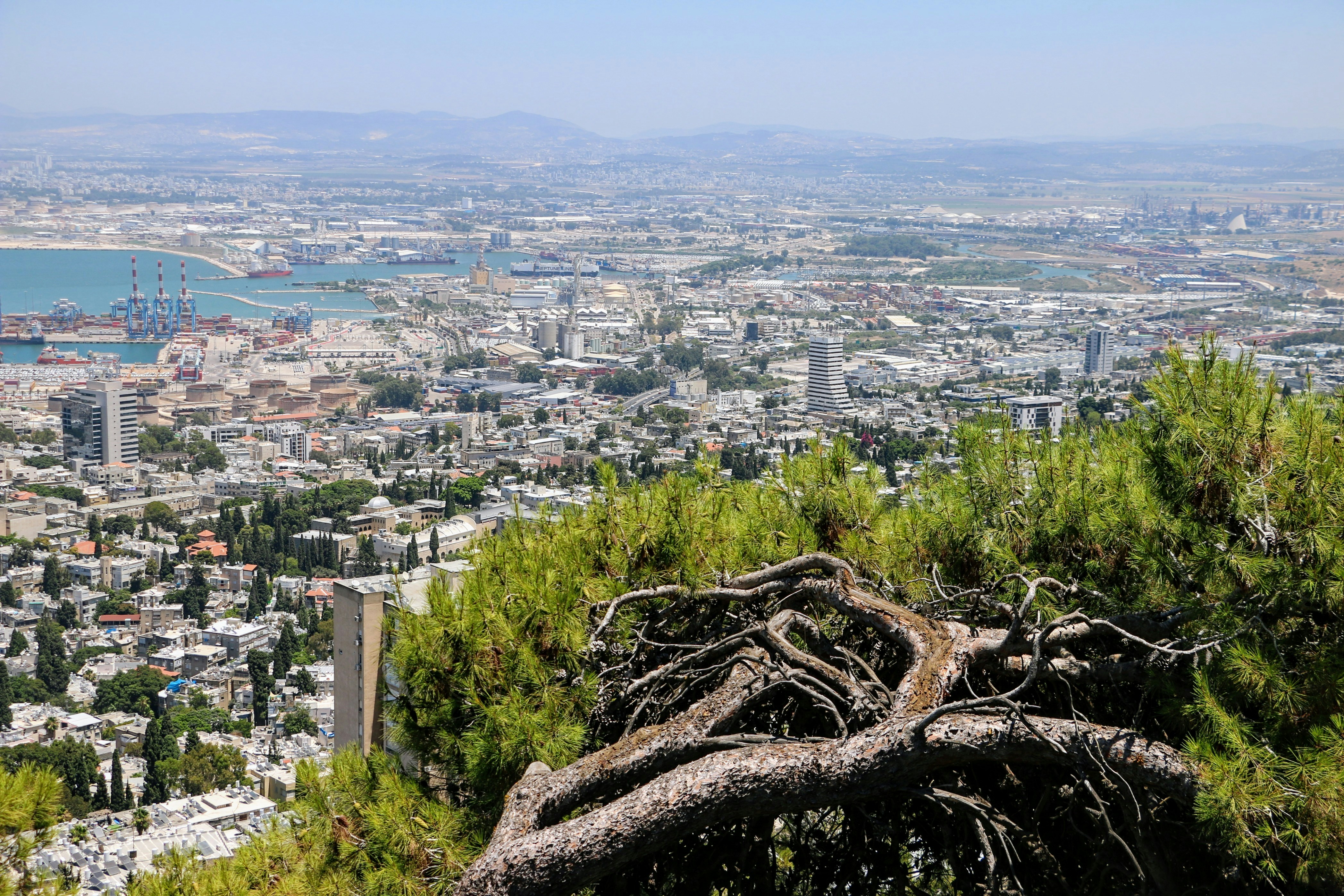 Photo by haim_charbit18