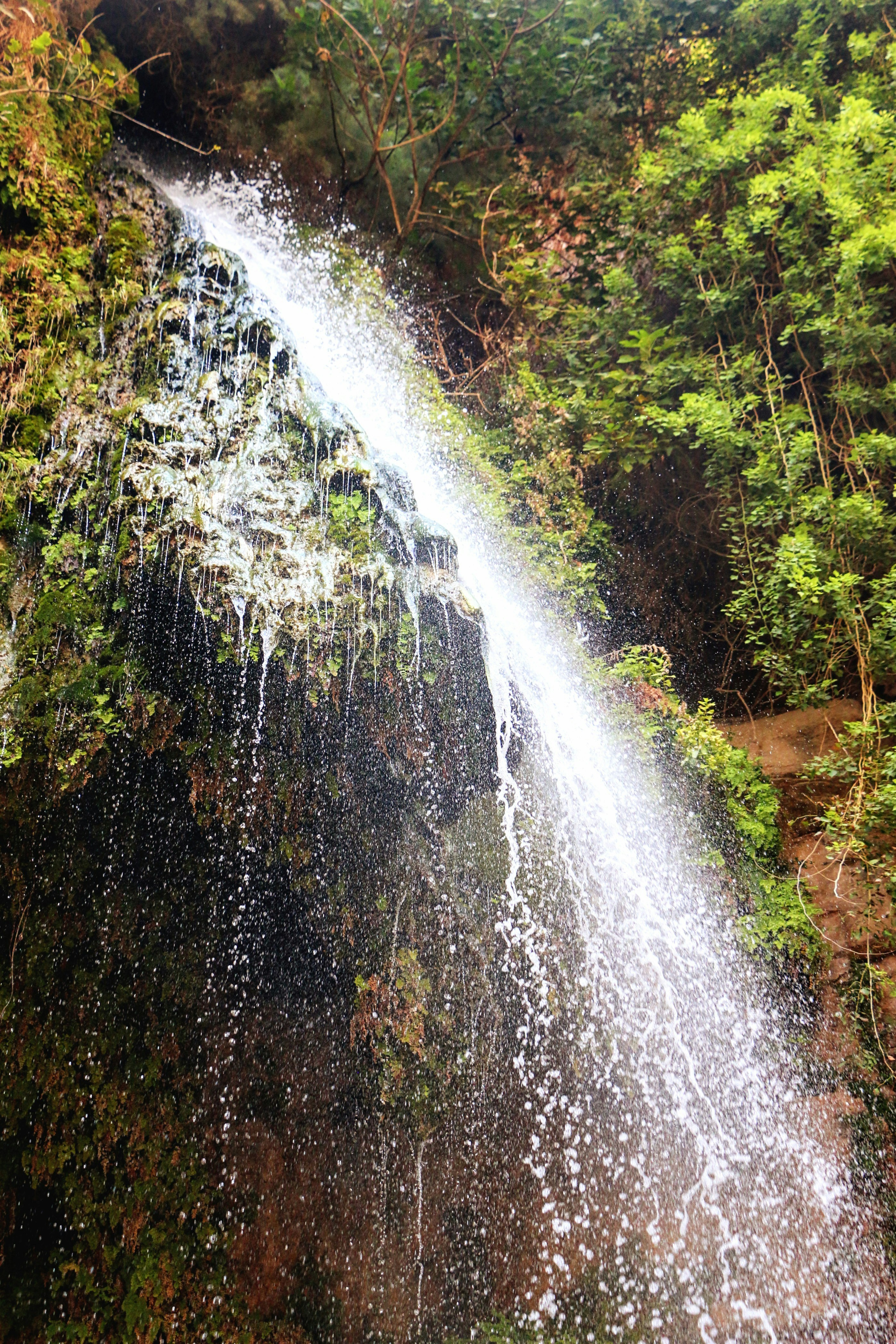 Photo by haim_charbit18