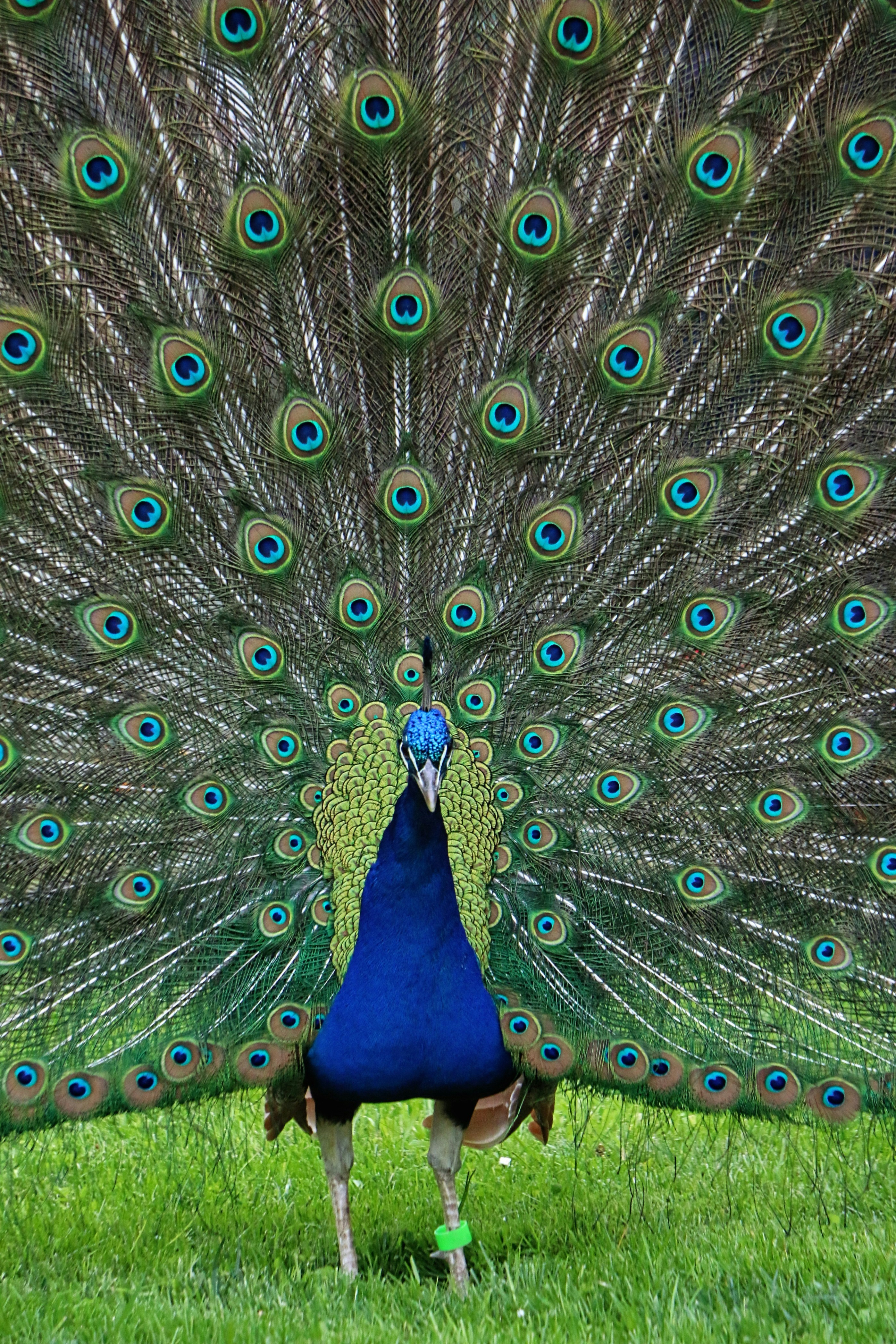 Photo by haim_charbit18