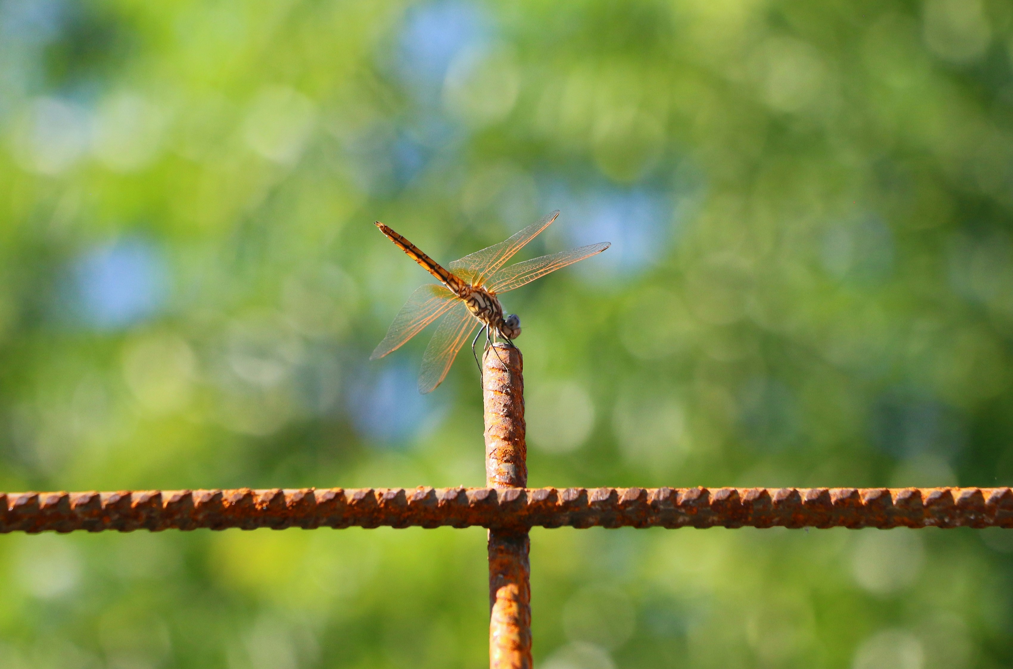 Photo by haim_charbit18