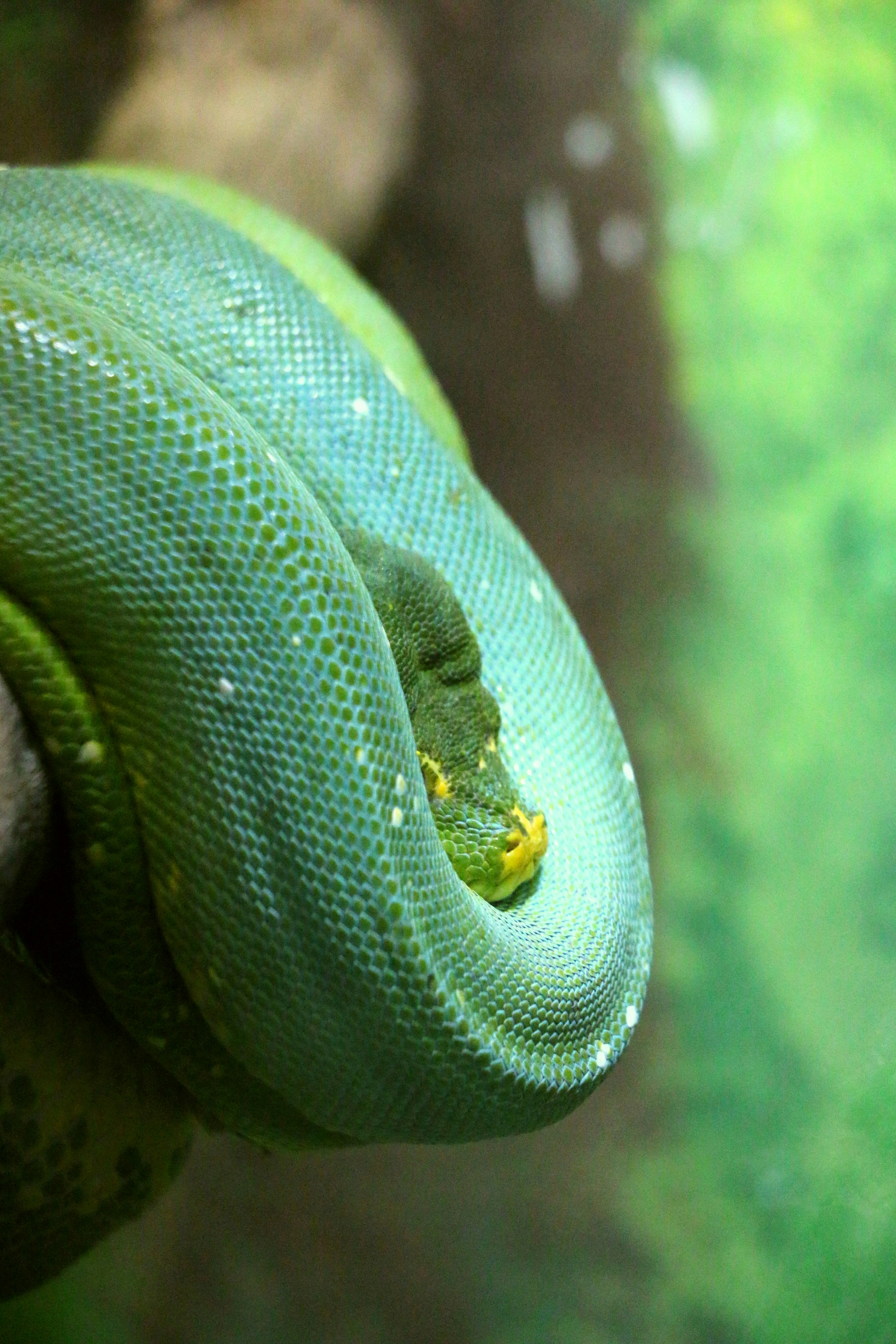 Photo by haim_charbit18