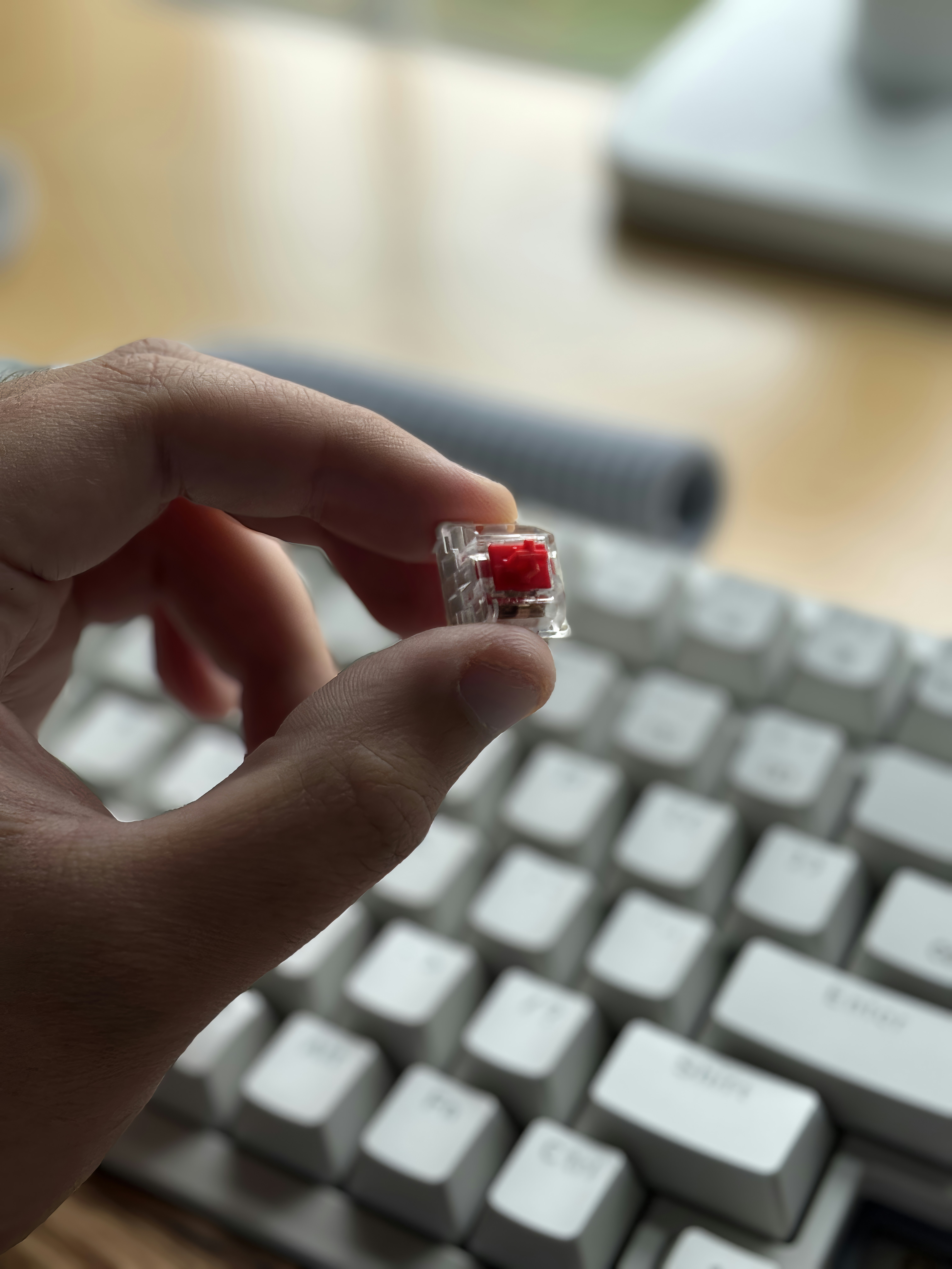 Une personne tient un petit bonbon devant un clavier