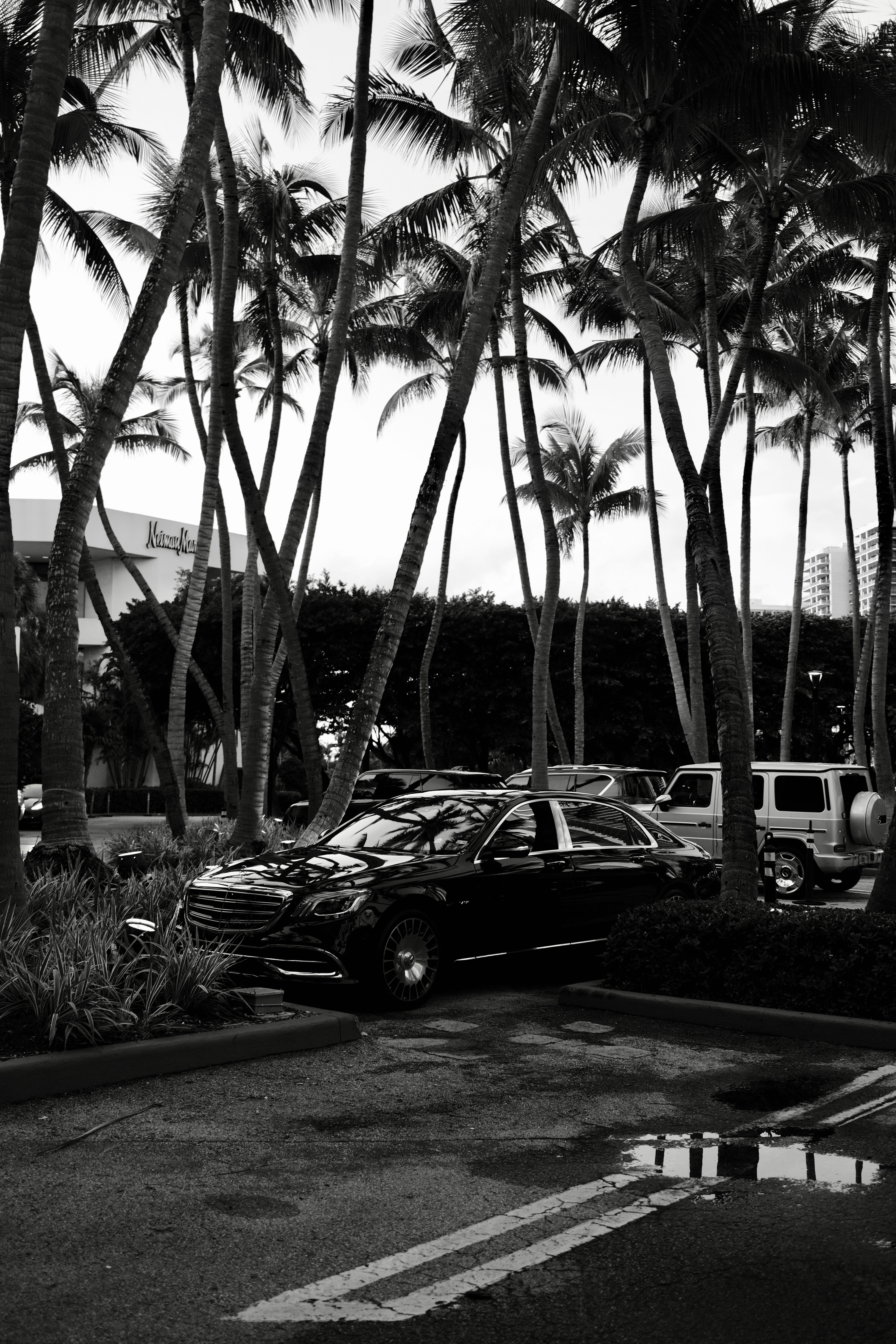 A black and white photo of cars parked in a parking lot