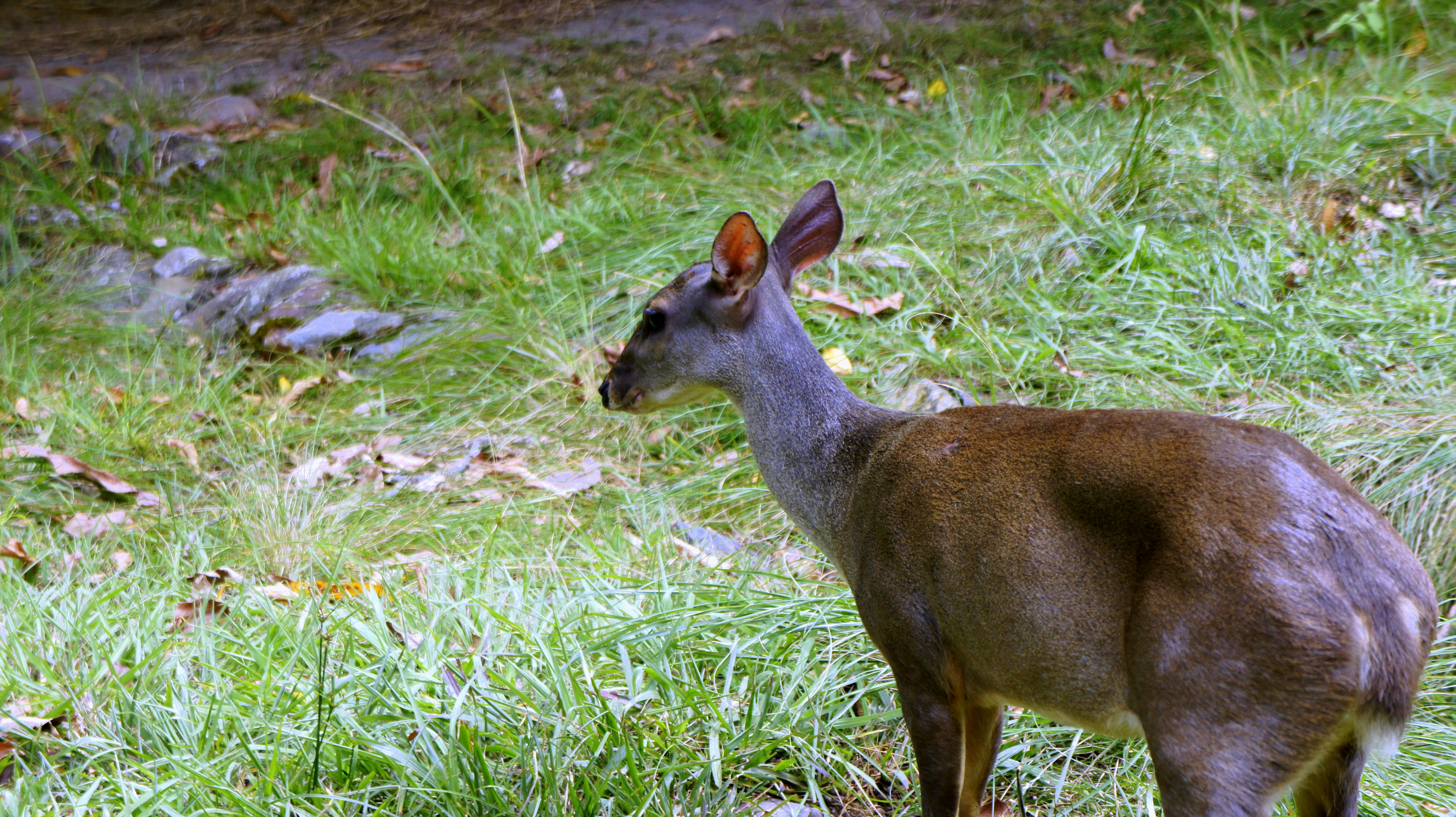 Photo by diegocespedesc2019