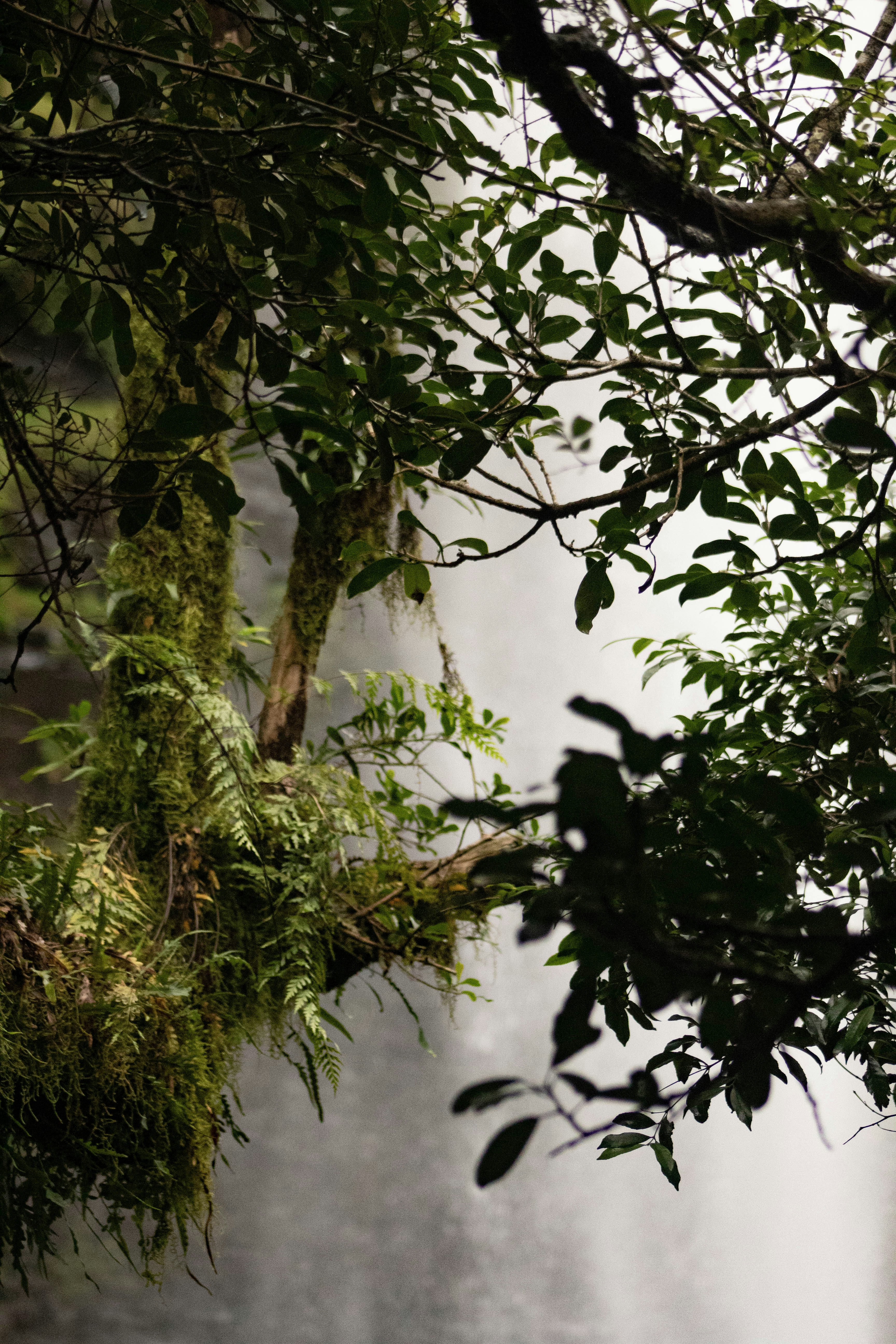 Photo by etherealpics